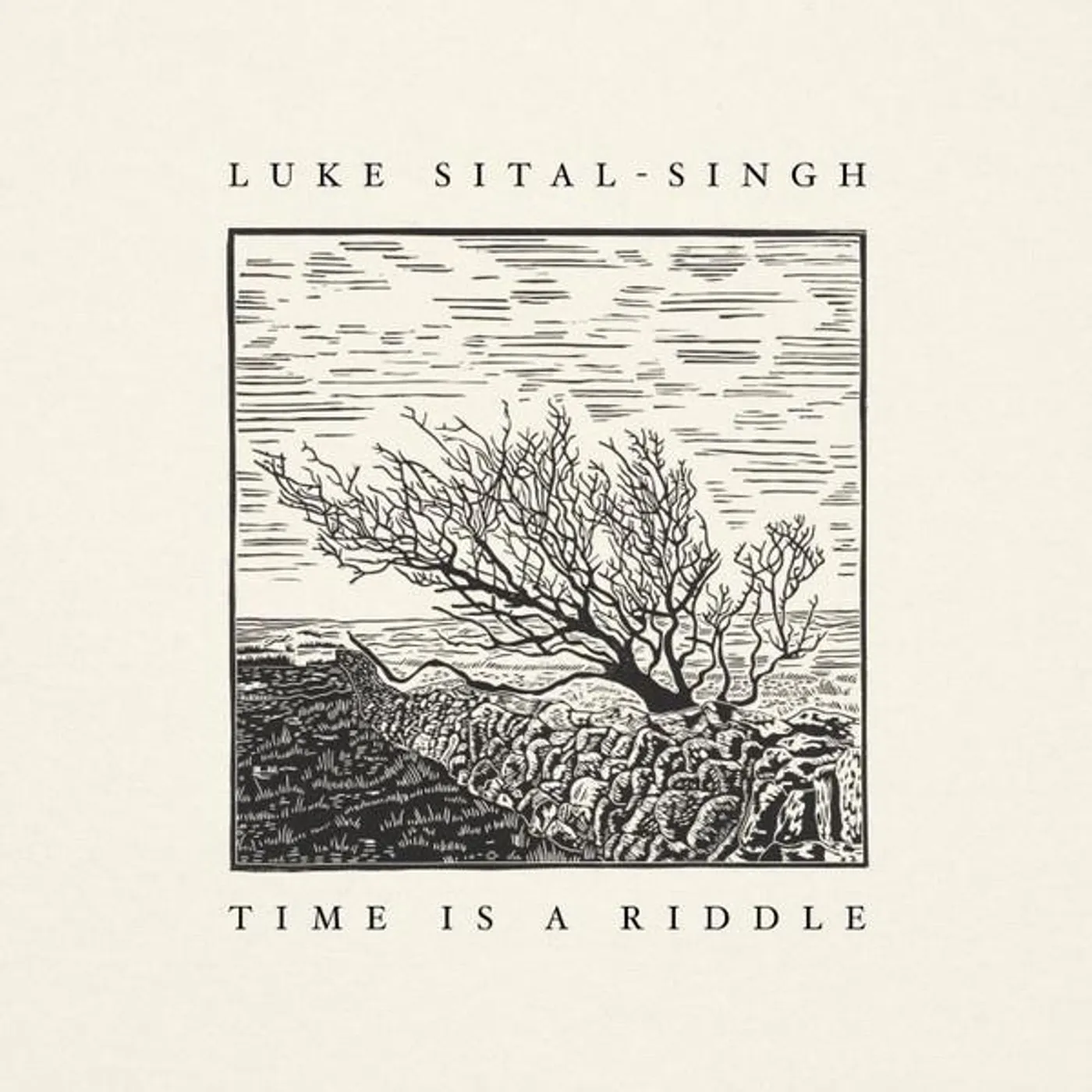 Luke Sital-Singh Time Is A Riddle Vinyl Record