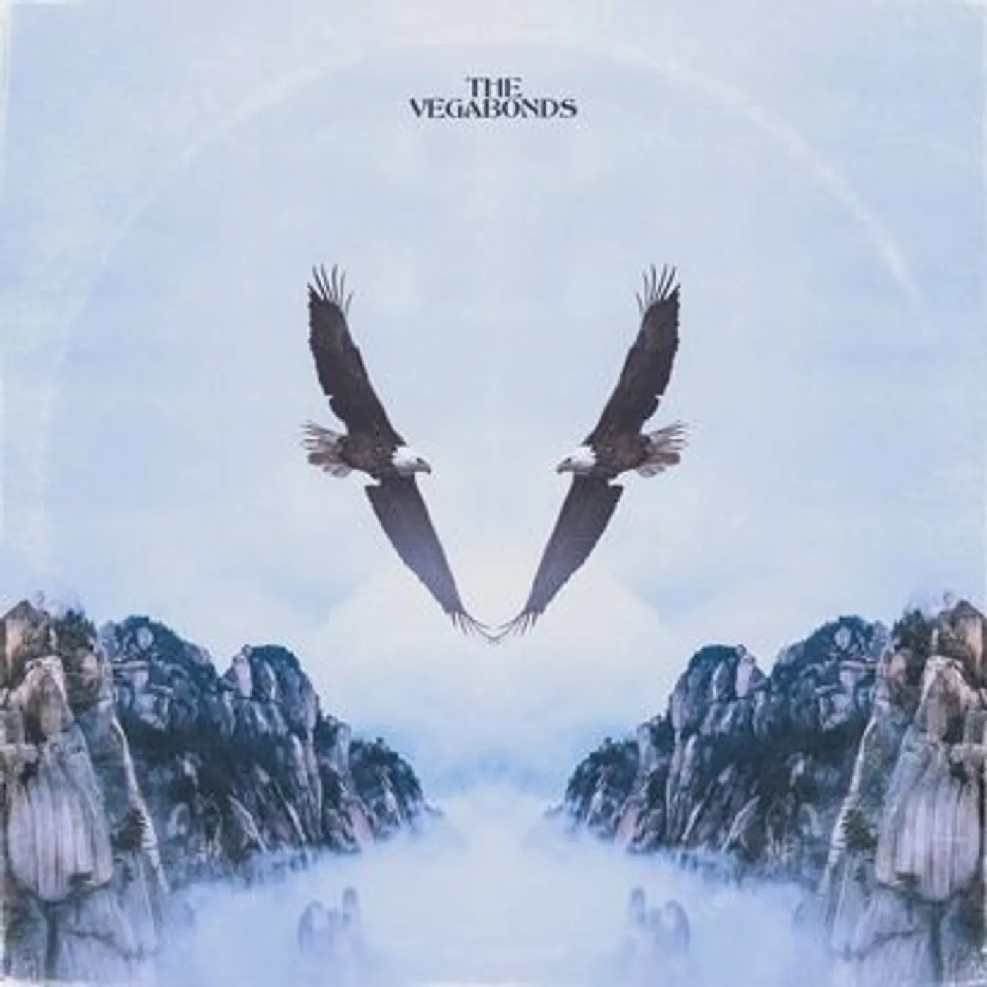 The Vegabonds V Vinyl Record