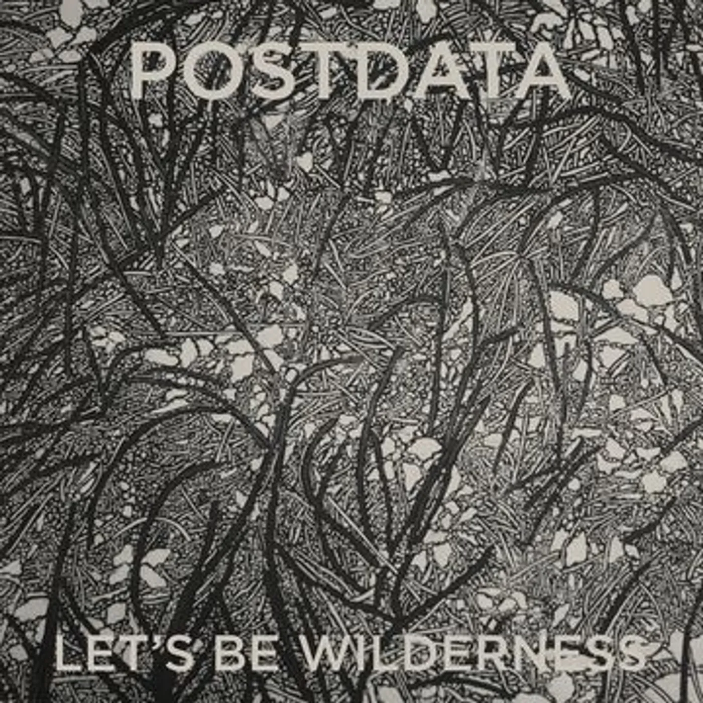 Postdata LET'S BE WILDERNESS Vinyl Record