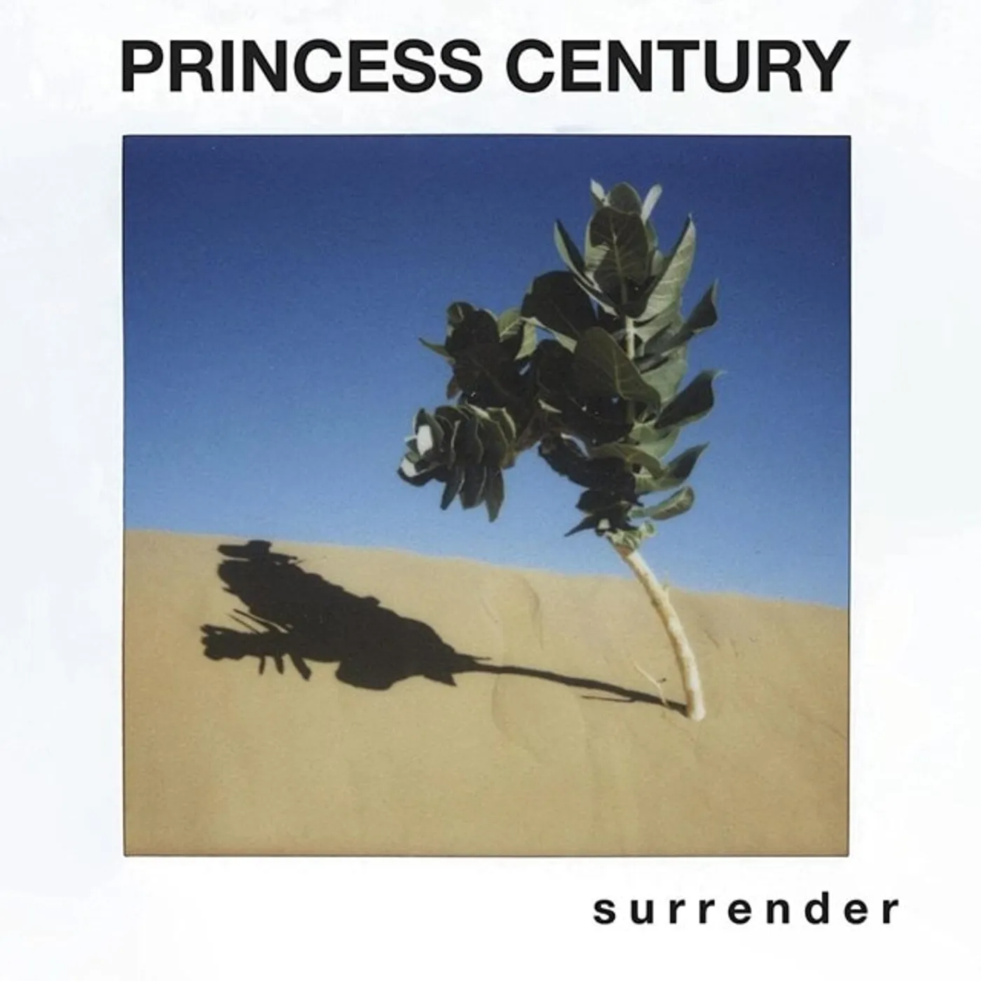 Princess Century Surrender Vinyl Record