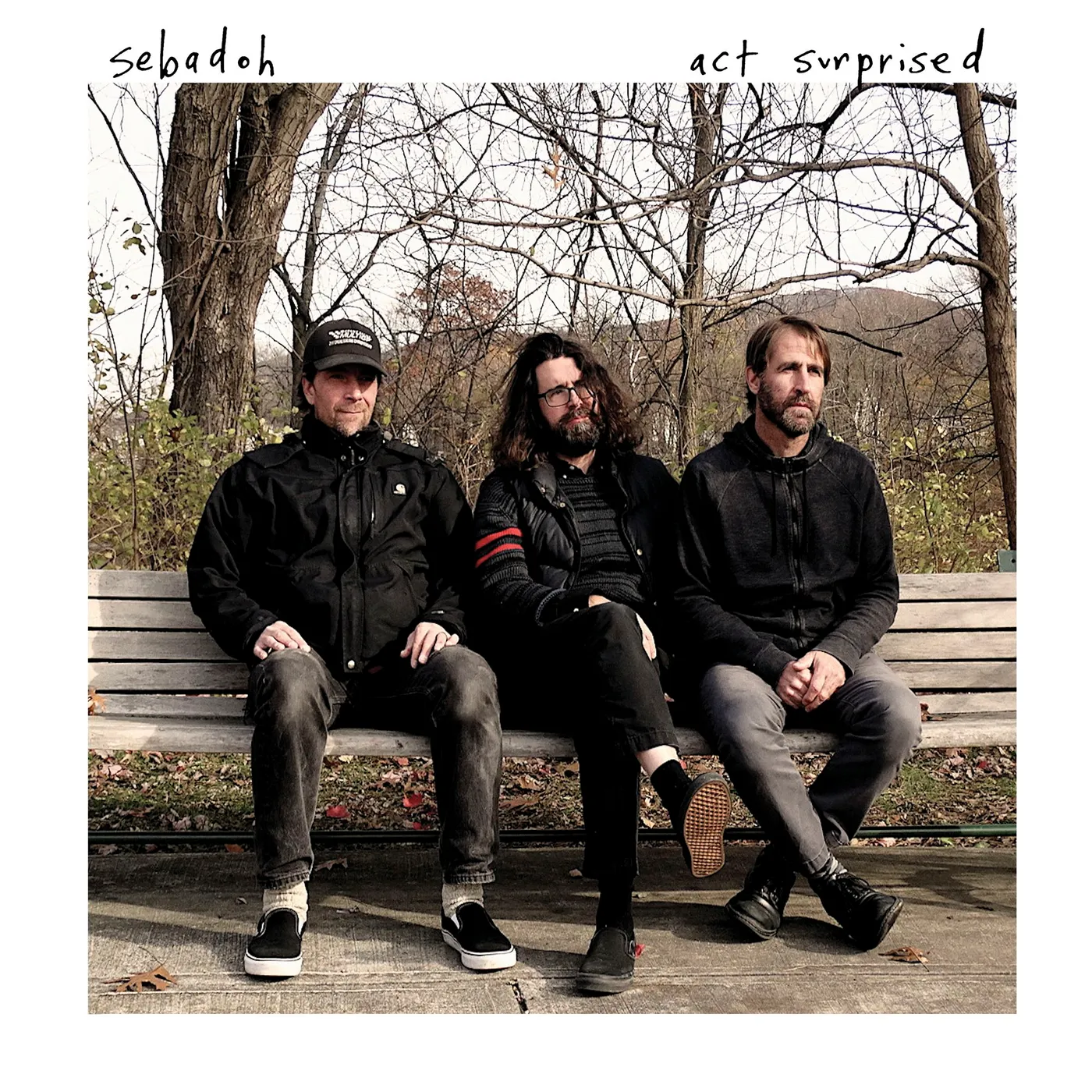 Sebadoh Act Surprised Vinyl Record