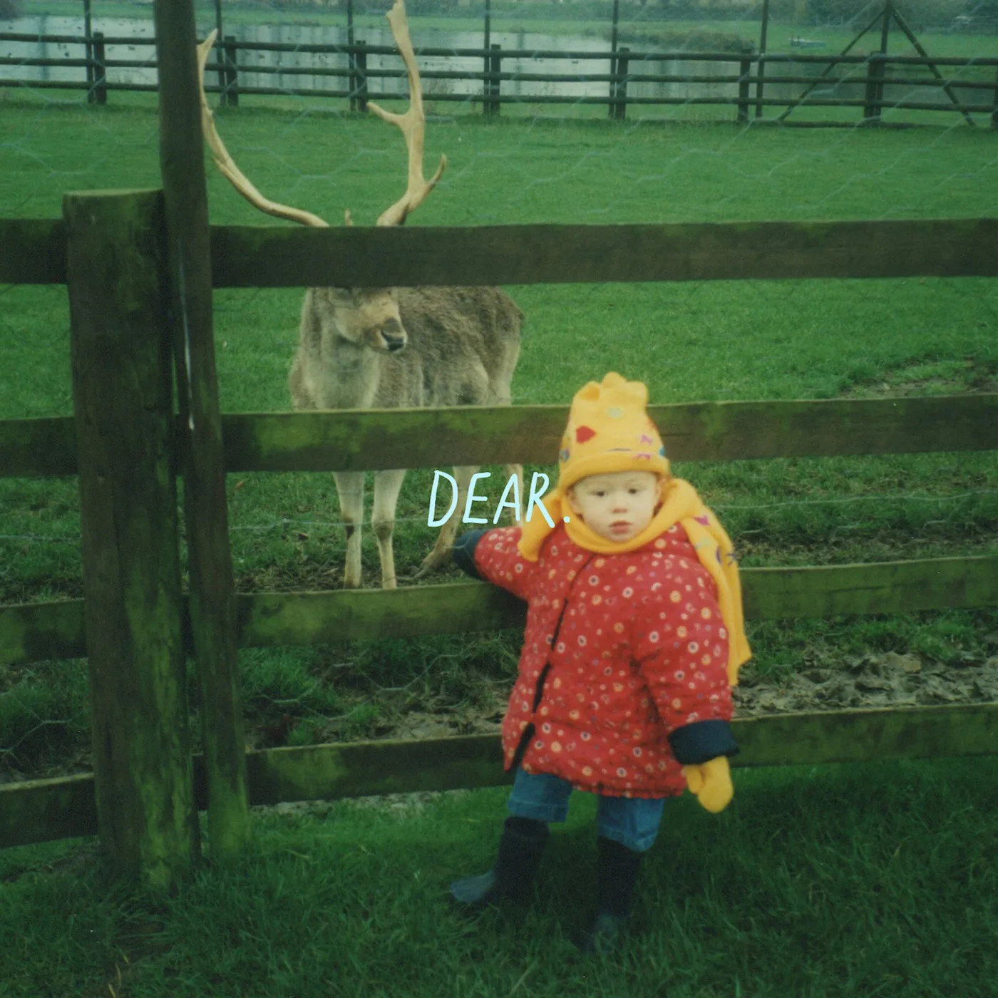 Cavetown Dear. Vinyl Record