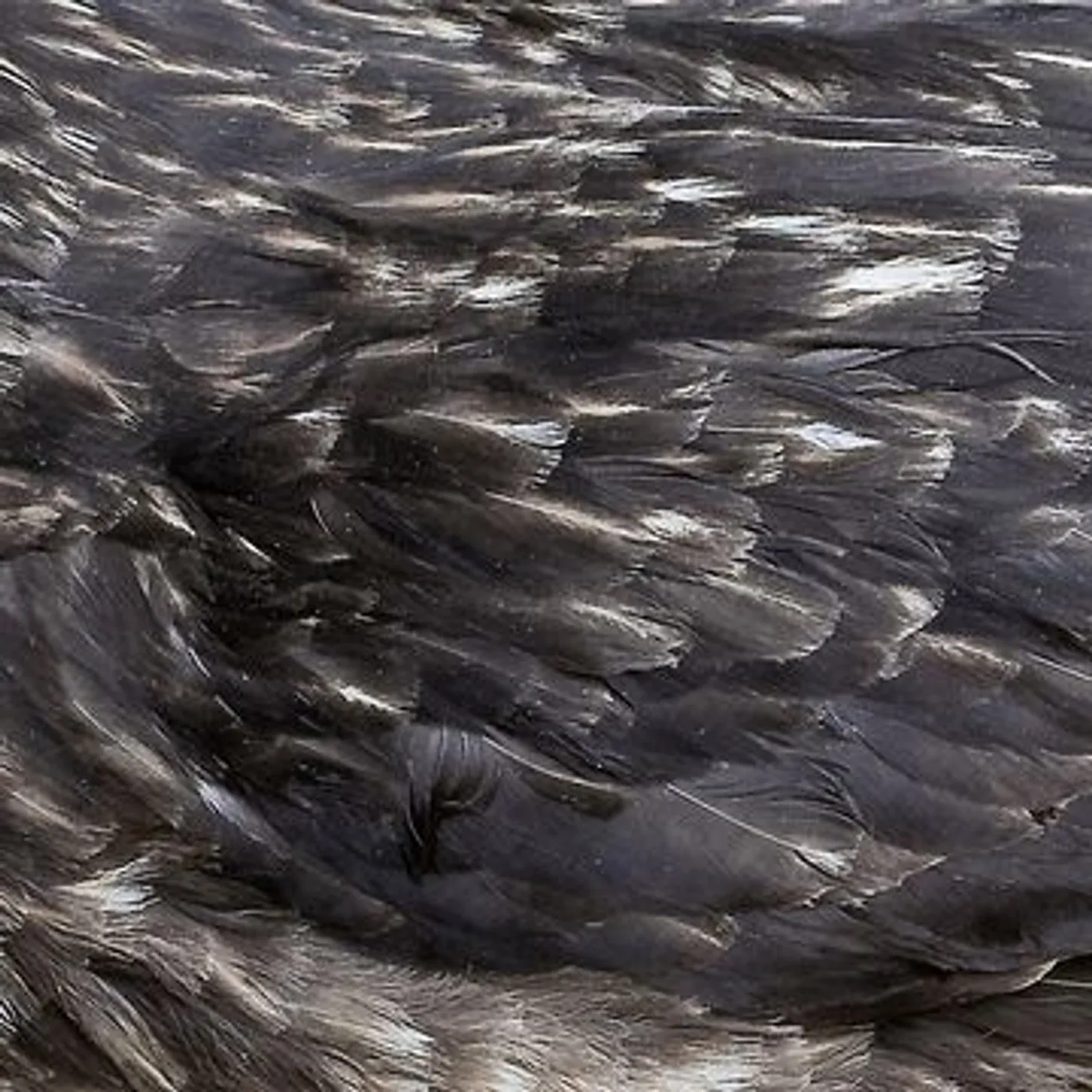 ARSTIDIR Vinyl Record