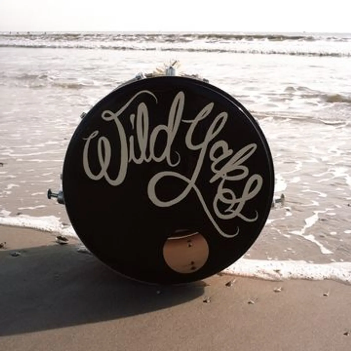 Wild Yaks Great Admirer Vinyl Record