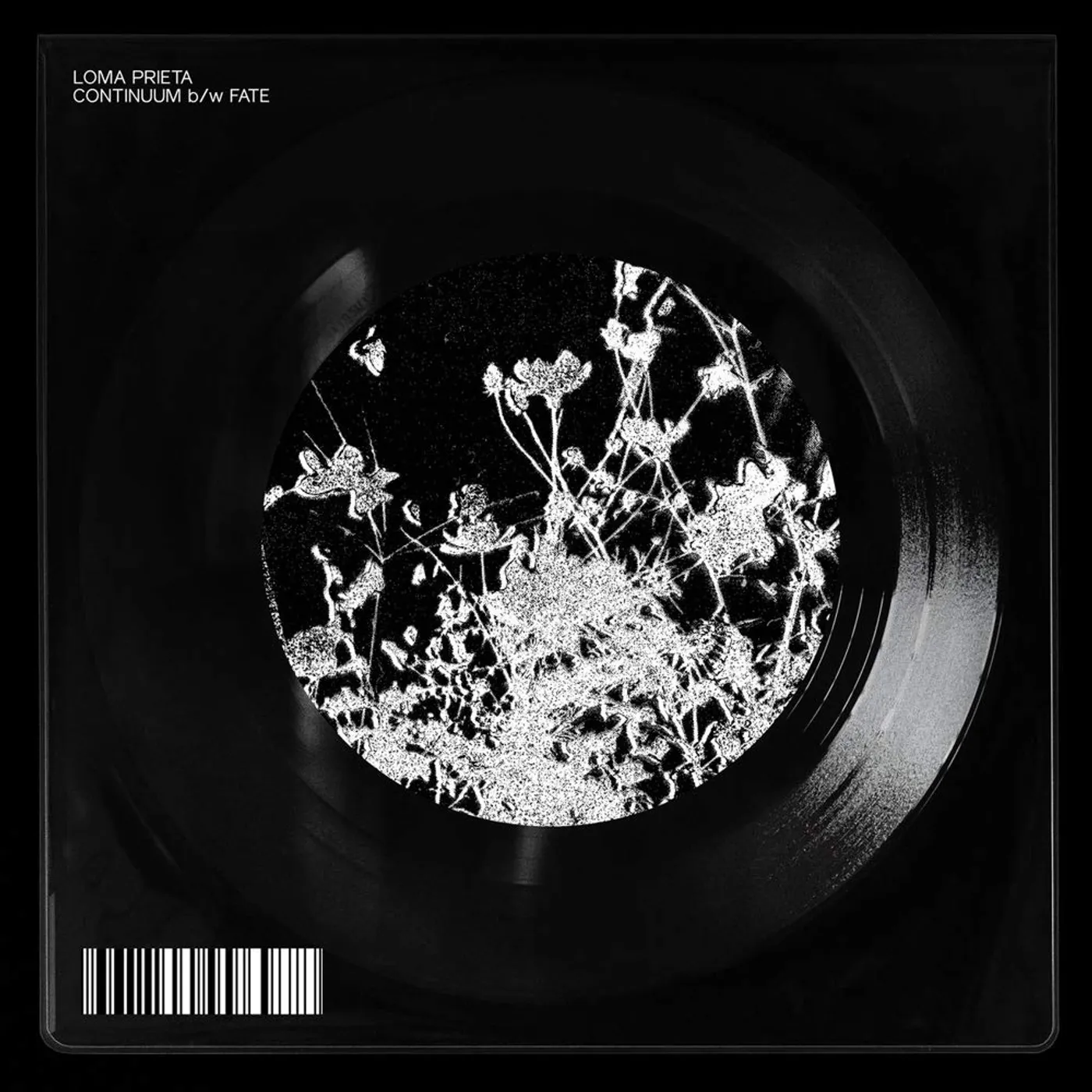 Loma Prieta CONTINUUM / FATE Vinyl Record