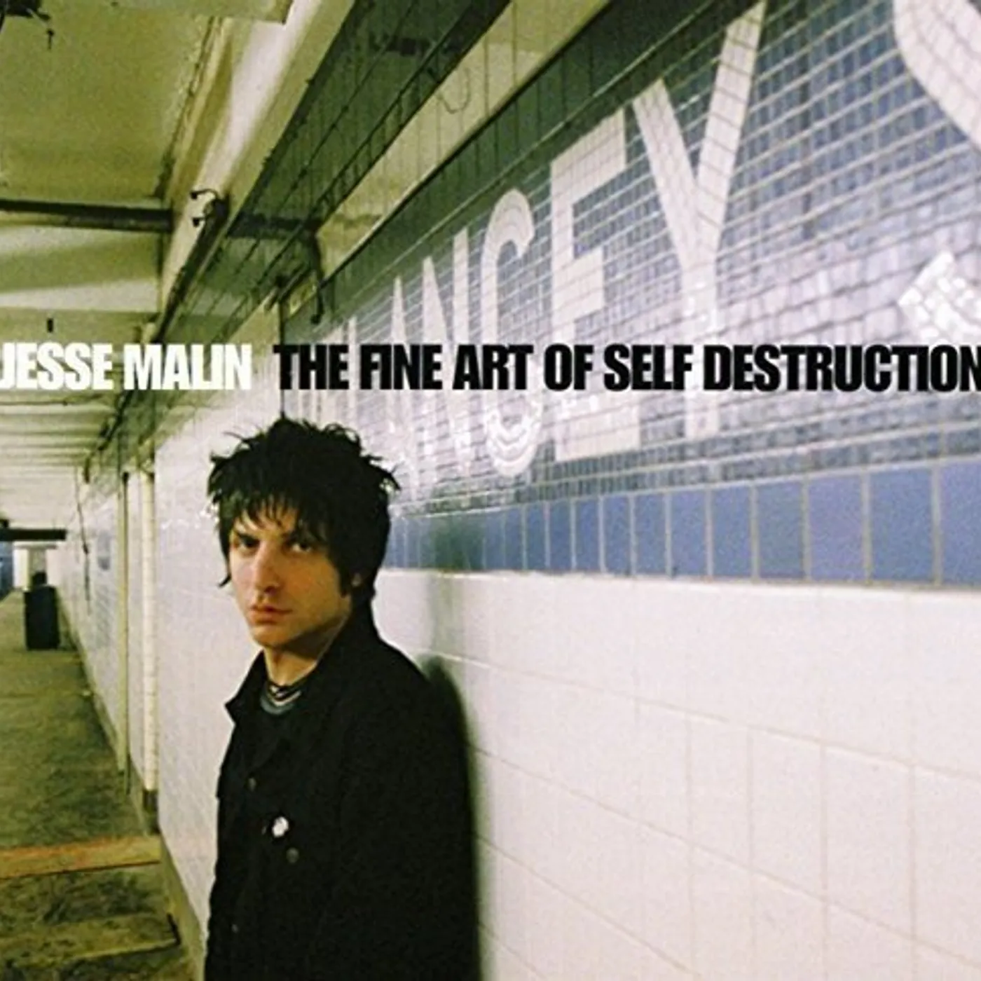 Jesse Malin FINE ART OF SELF DESRUCTION (DIRECT METAL MASTER) Vinyl Record