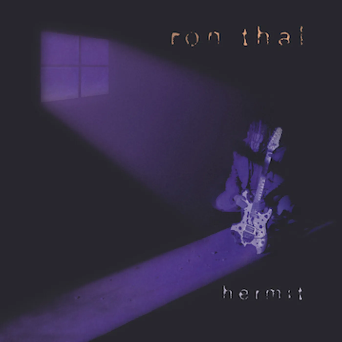 Ron Thal Hermit Vinyl Record