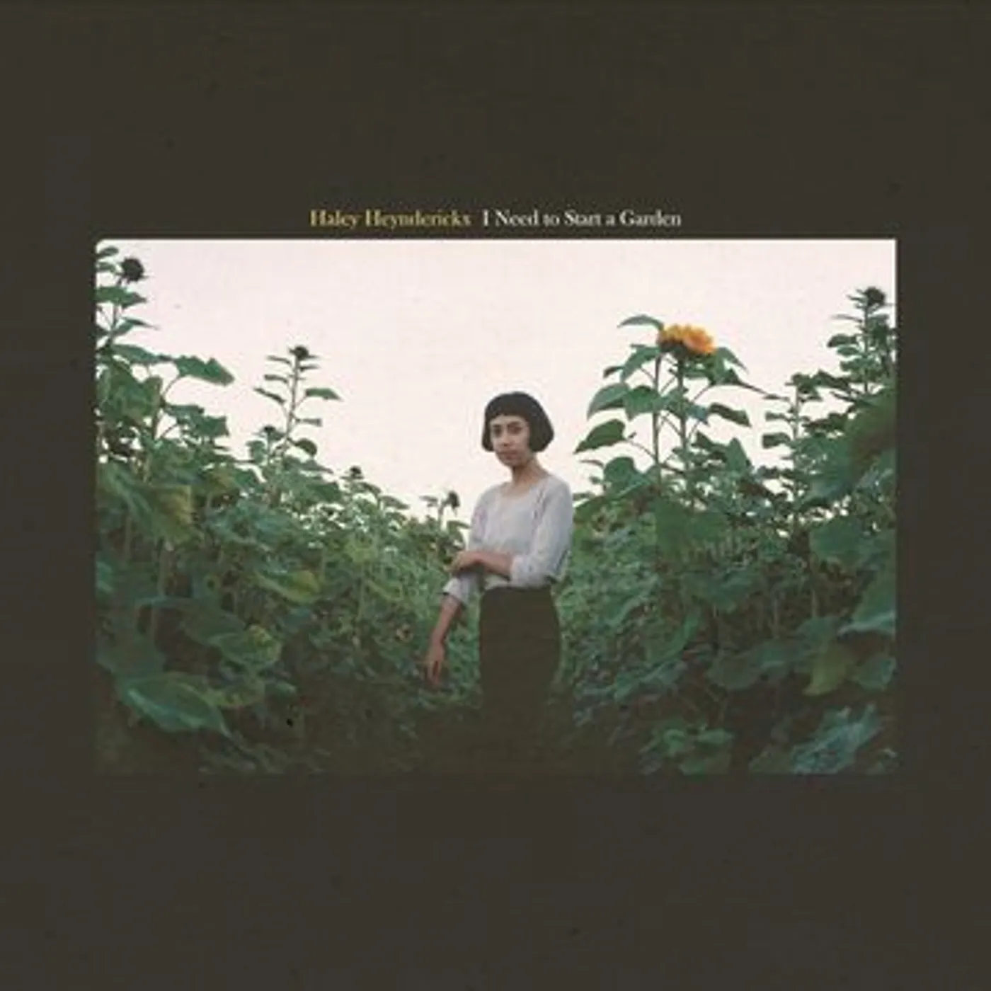 Haley Heynderickx I Need To Start A Garden Vinyl Record