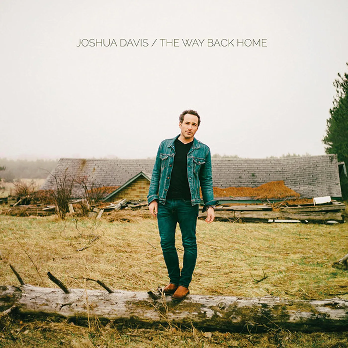Joshua Davis WAY BACK HOME Vinyl Record