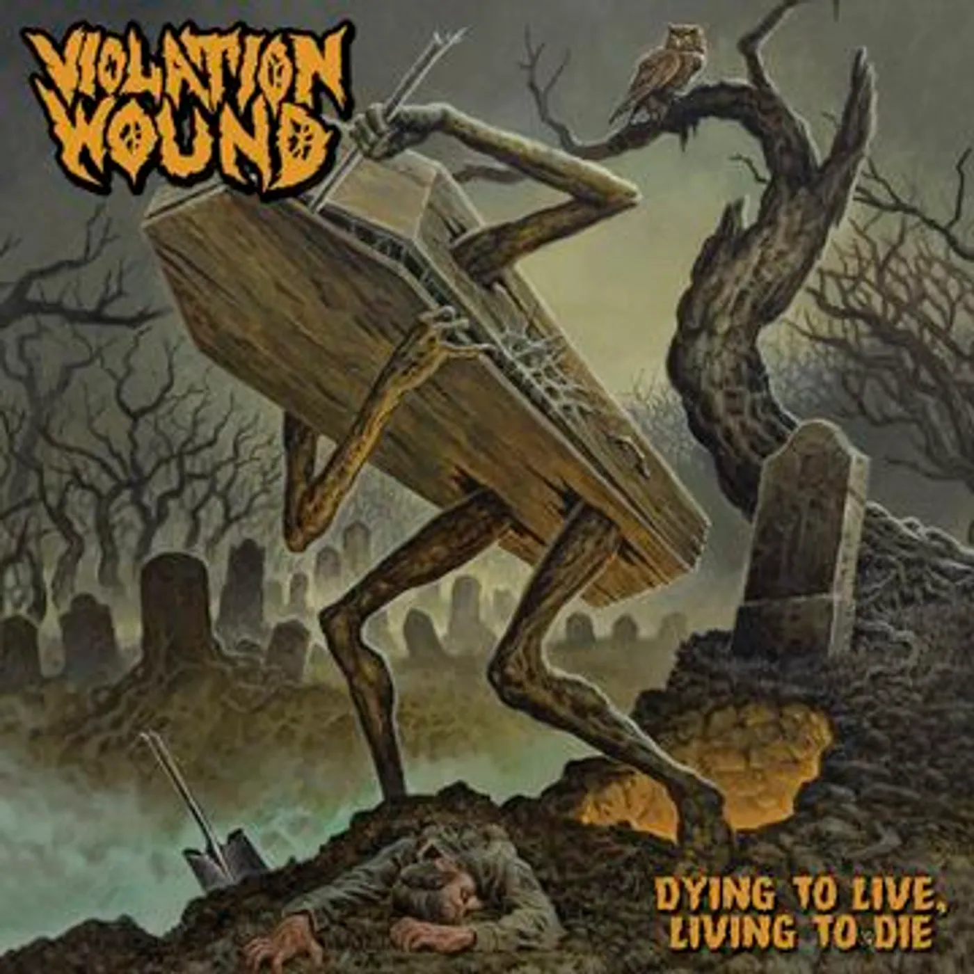 Violation Wound Dying to Live, Living to Die Vinyl Record