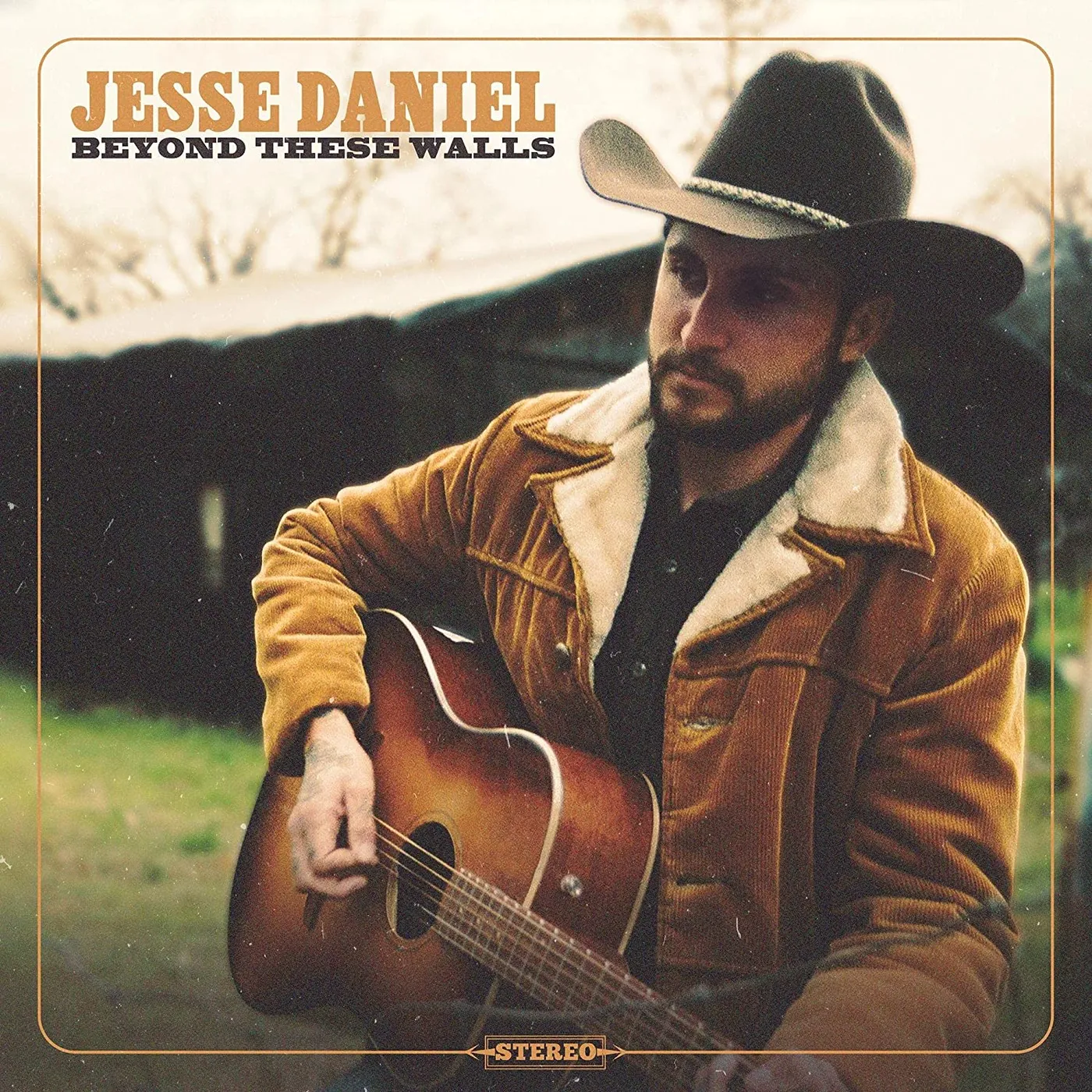 Jesse Daniel Beyond These Walls Vinyl Record