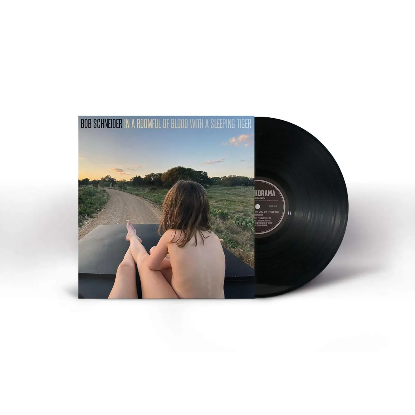 Bob Schneider In a Roomful of Blood with a Sleeping Tiger Vinyl Record