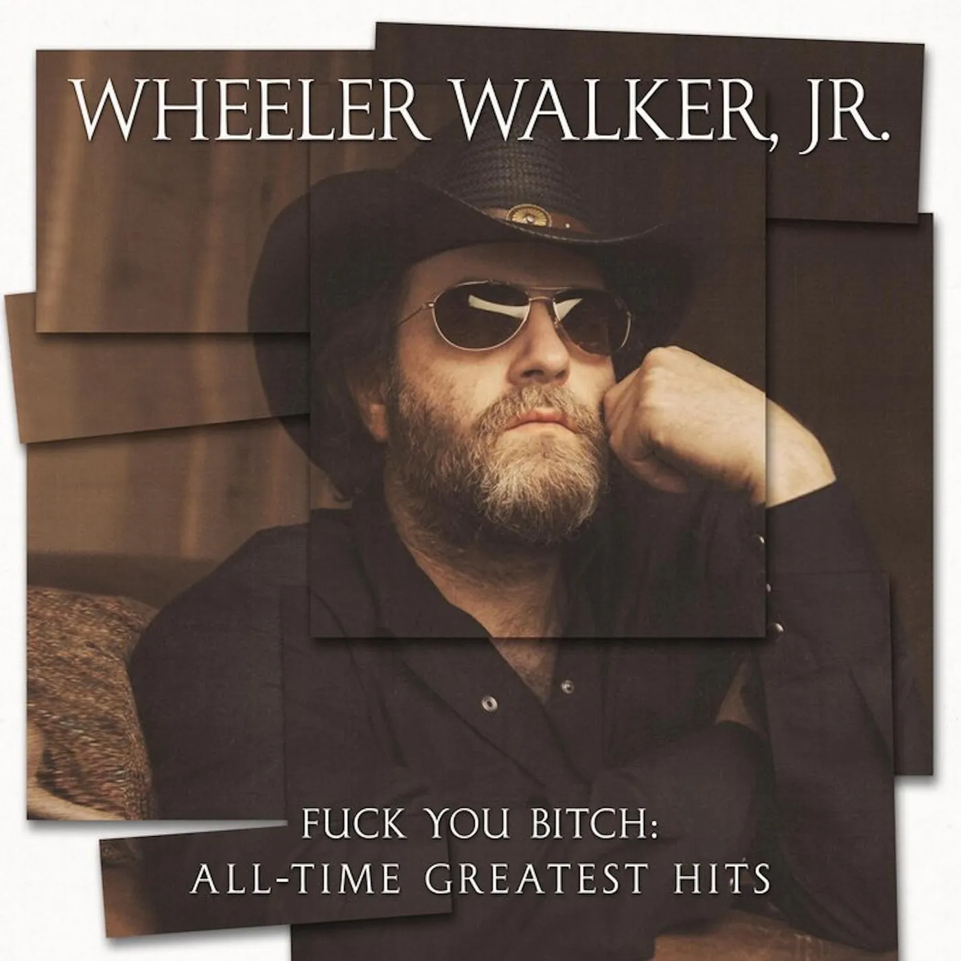 Wheeler Walker Jr. Fuck You Bitch: All-Time Greatest Hits Vinyl Record
