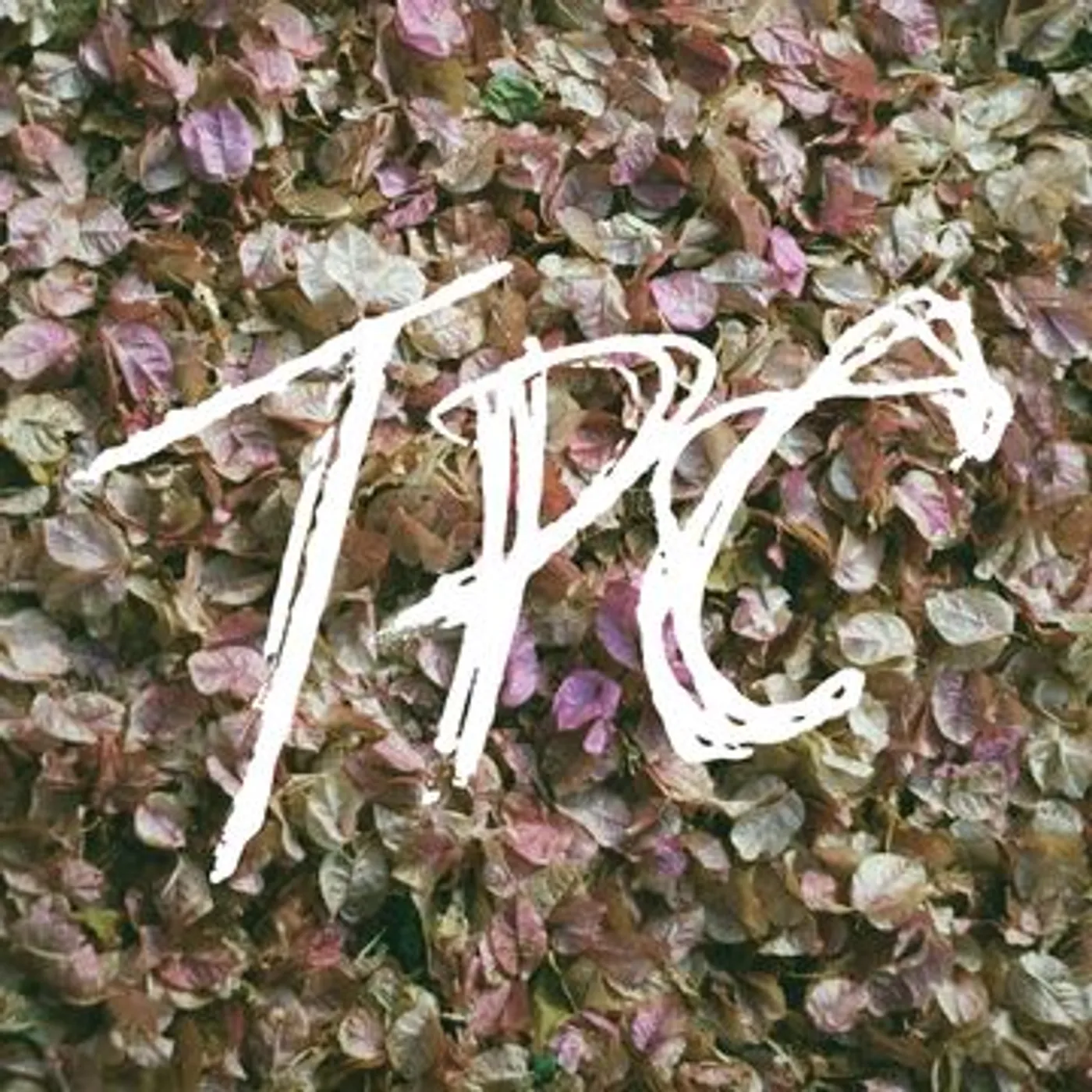 Tokyo Police Club TPC Vinyl Record