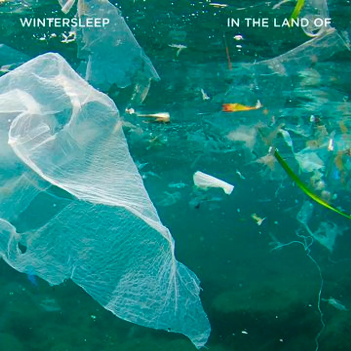 Wintersleep In The Land Of Vinyl Record