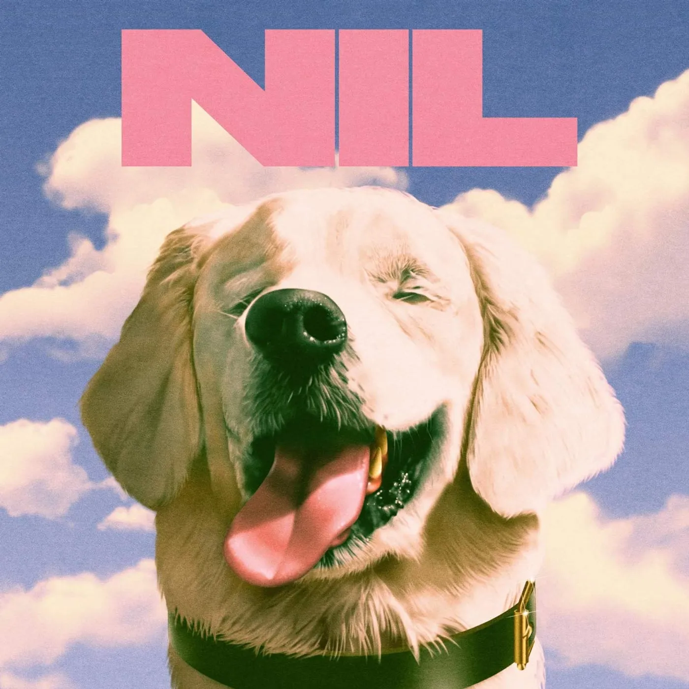 The Dirty Nil FUCK ART Vinyl Record