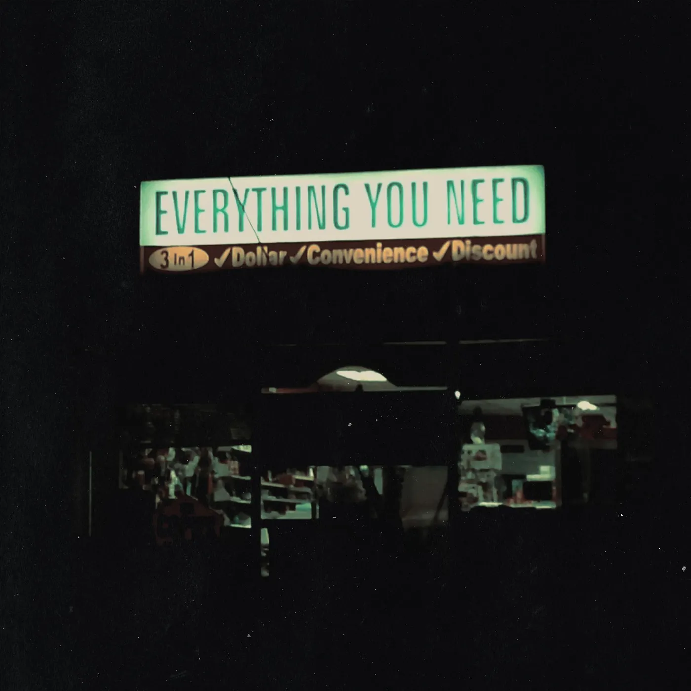 Single Mothers Everything You Need Vinyl Record