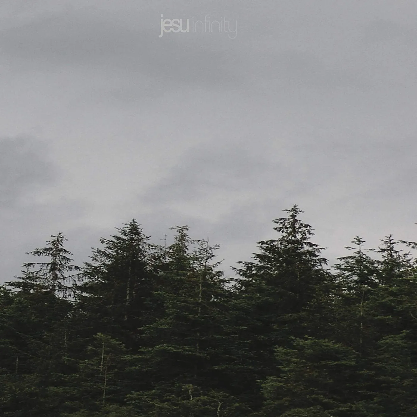 Jesu Infinity Vinyl Record