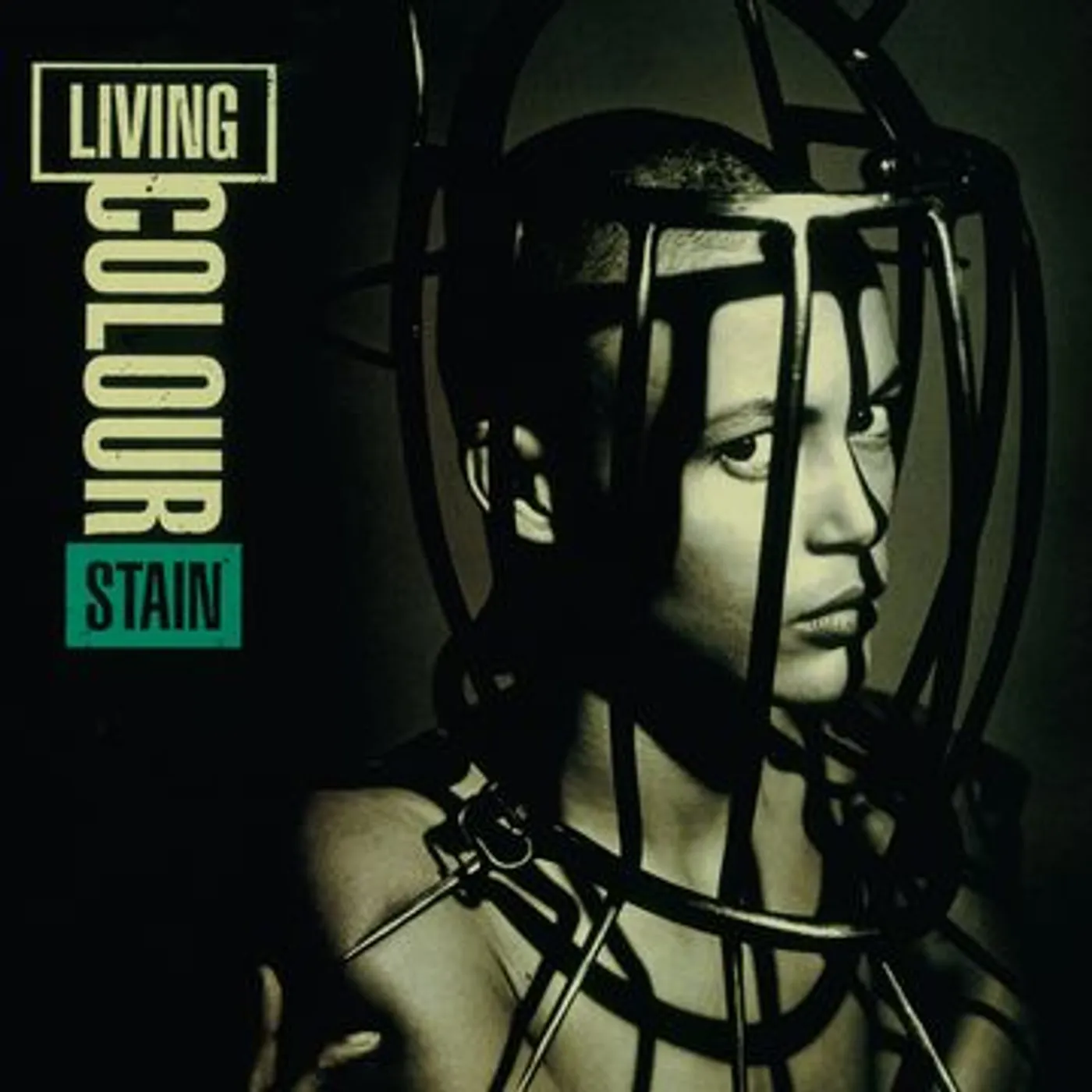 Living Colour Stain Vinyl Record