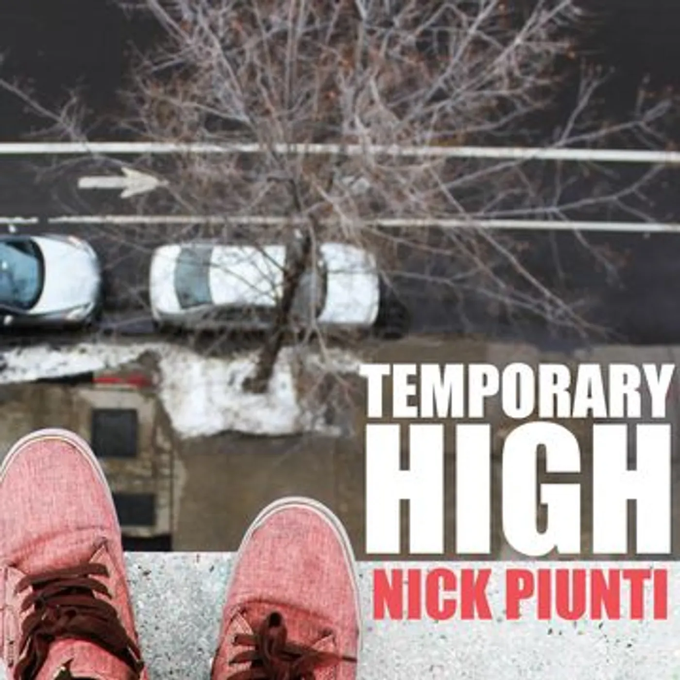 Nick Piunti Temporary High Vinyl Record
