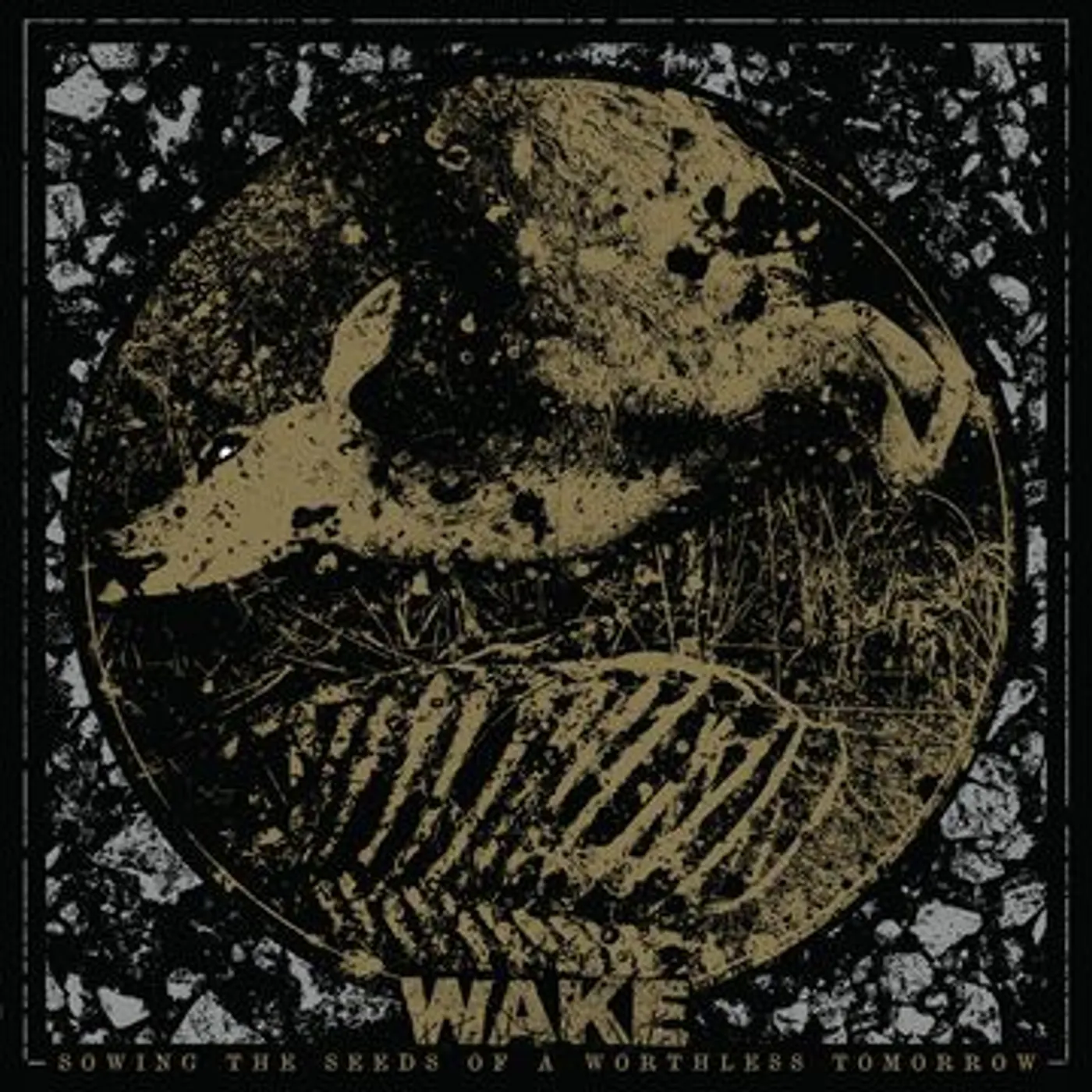 Wake Sowing The Seeds Of A Worthless Tomorrow Vinyl Record