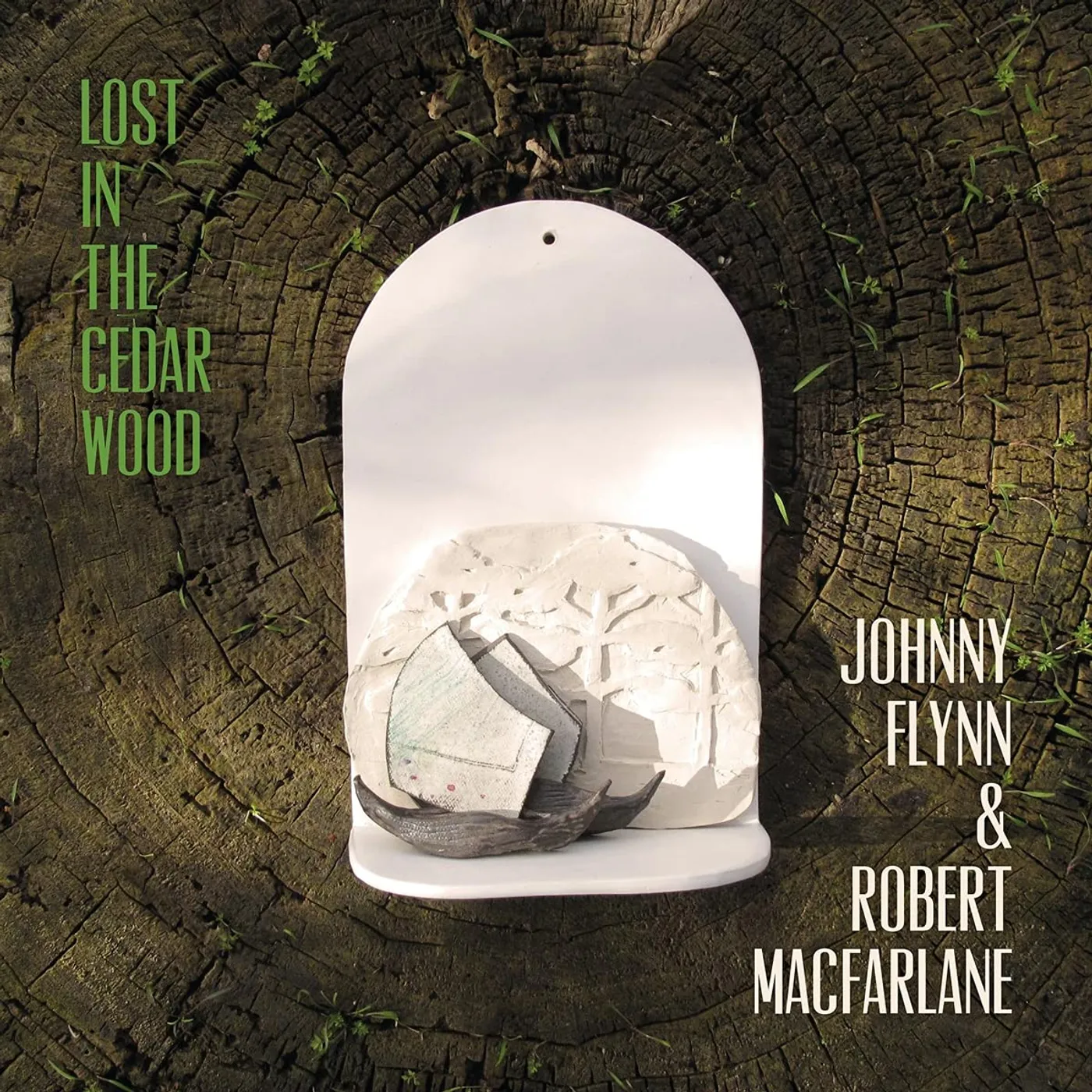 Johnny Flynn Lost in the Cedar Wood Vinyl Record