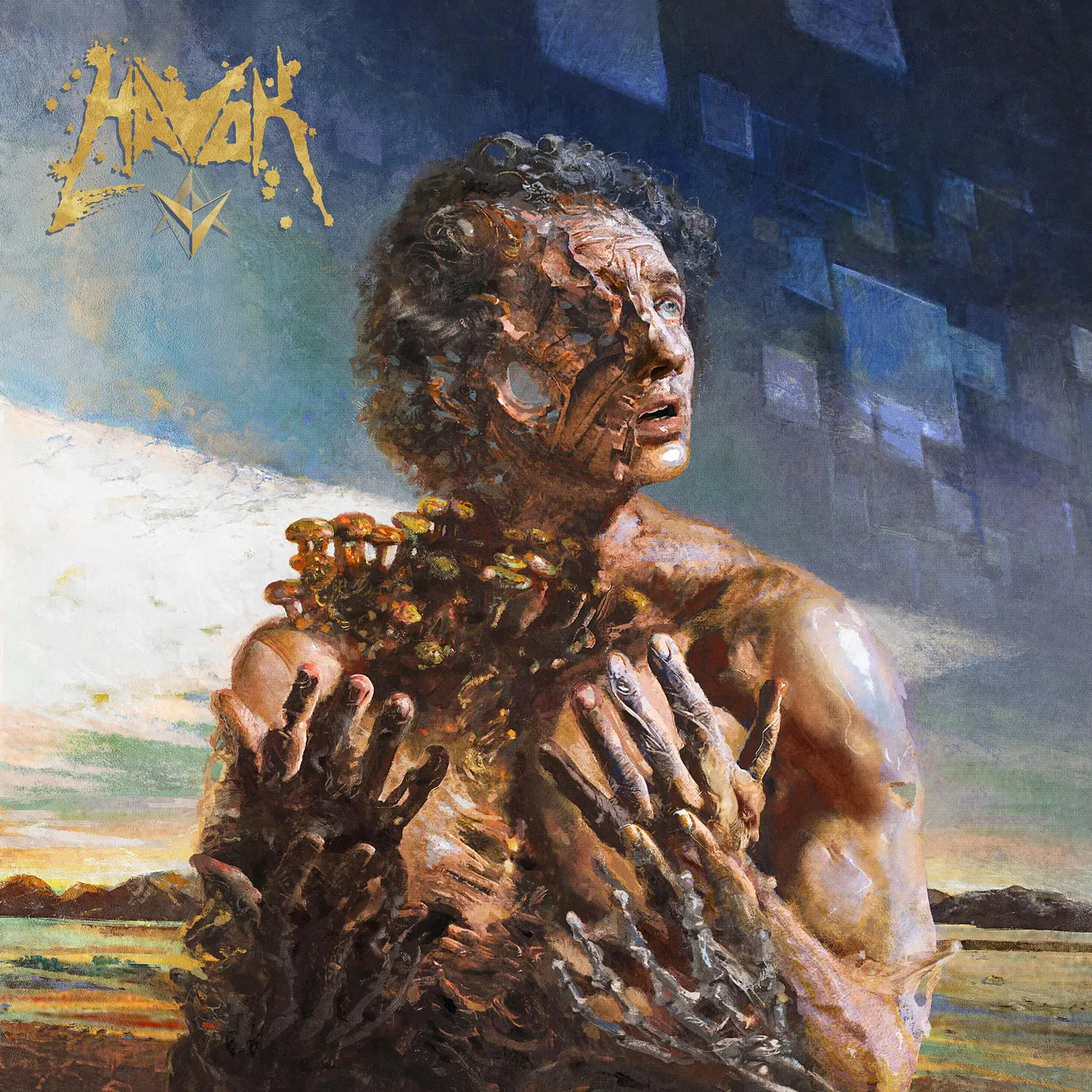 Havok V Vinyl Record