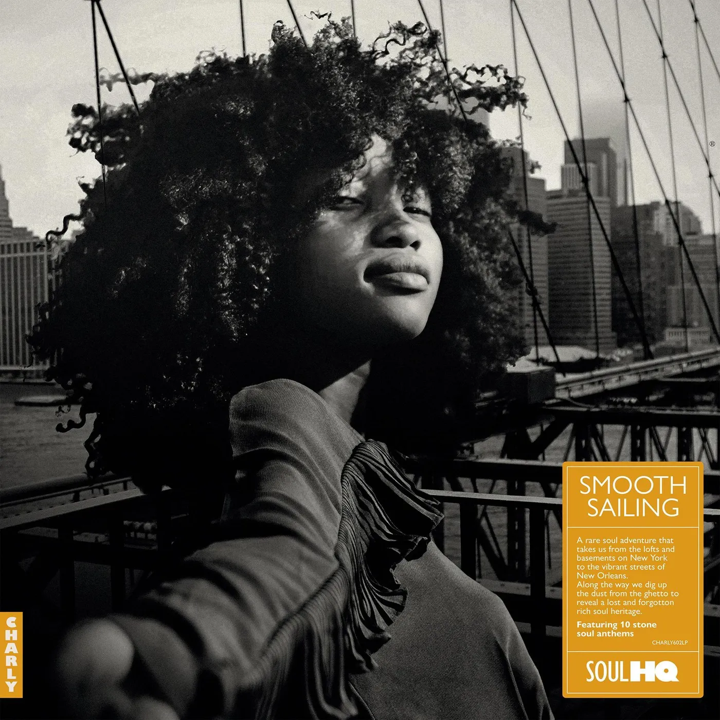 Various Artists Smooth Sailing  A Rare Soul Adventure (L Vinyl Record