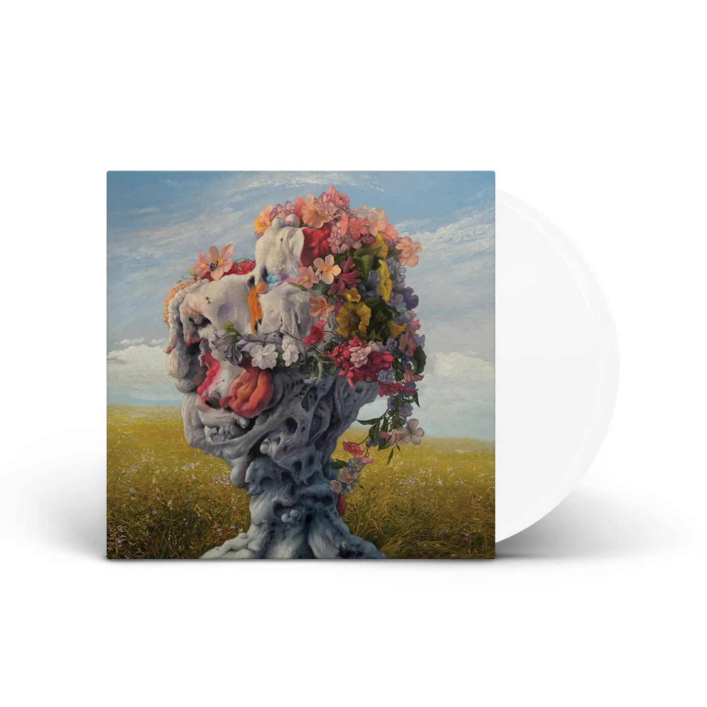 Wilderun Veil Of Imagination Vinyl Record