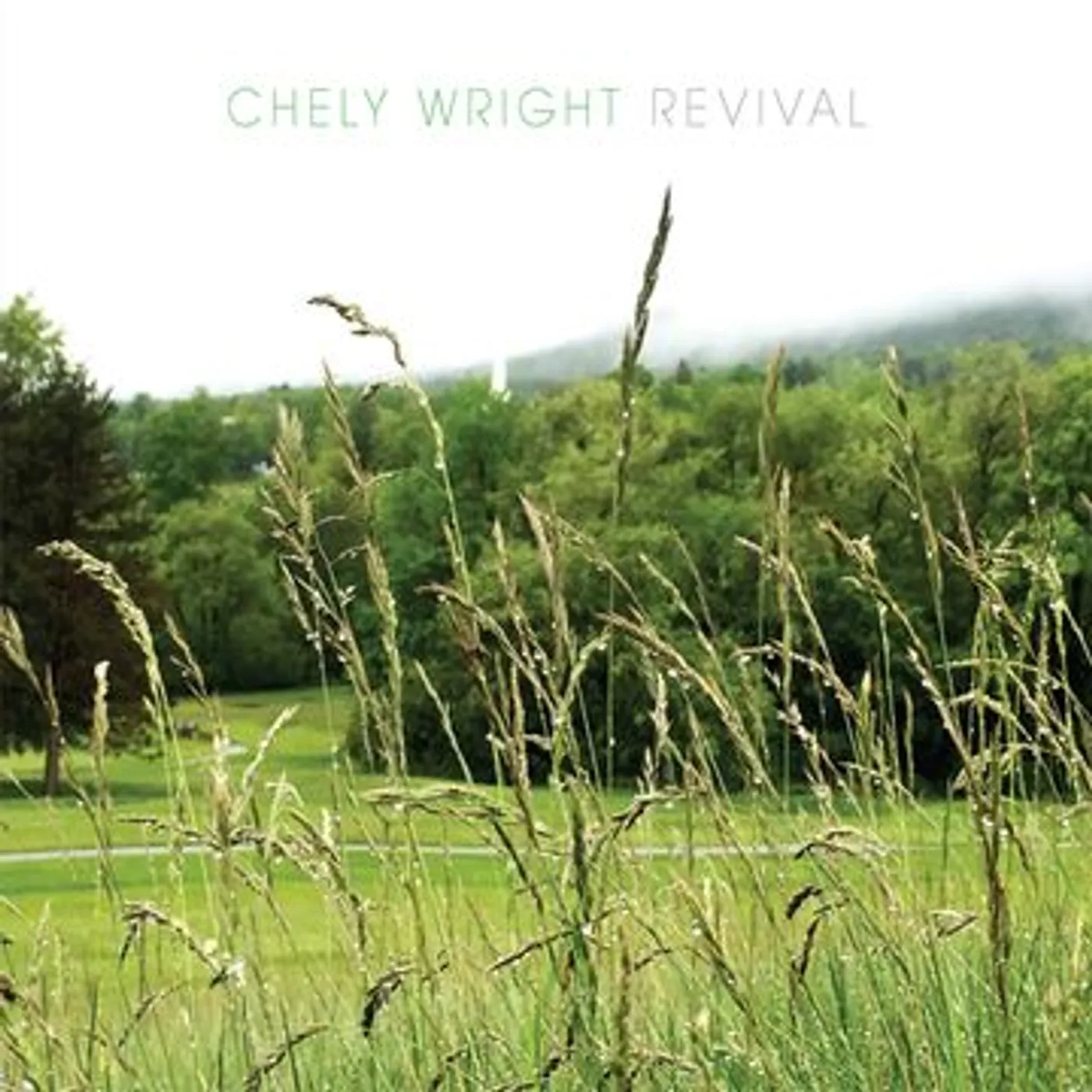 Chely Wright Revival Vinyl Record