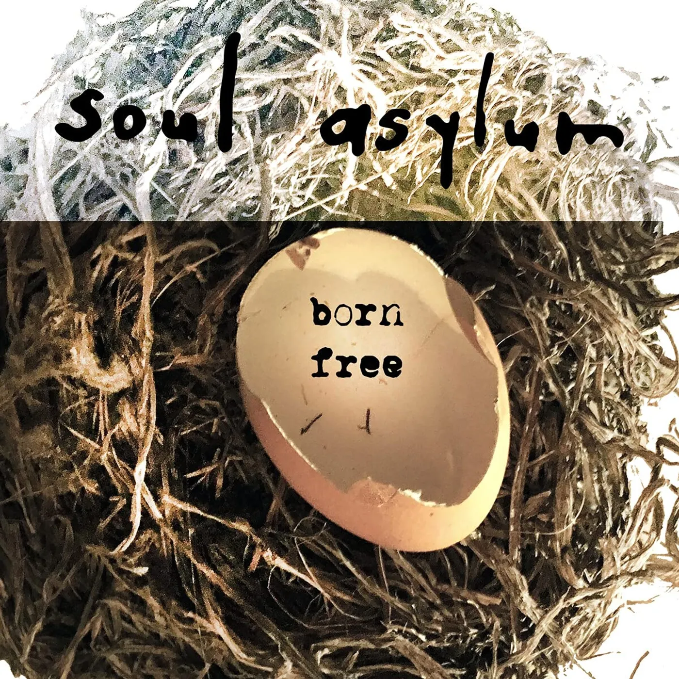 Soul Asylum Born Free Vinyl Record