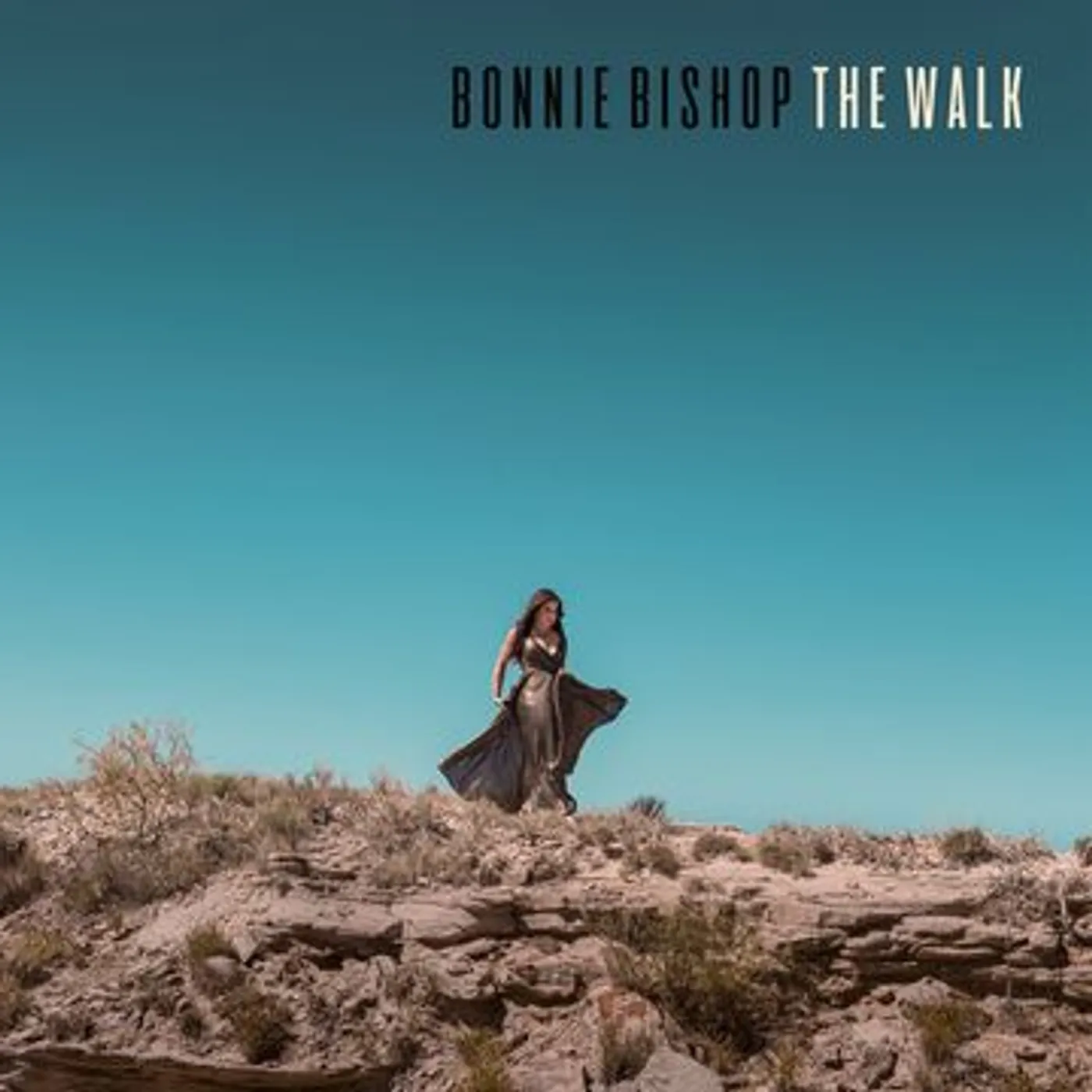 Bonnie Bishop WALK Vinyl Record