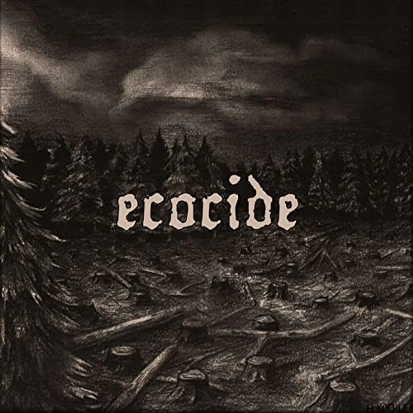 Ecocide When will it end? Vinyl Record