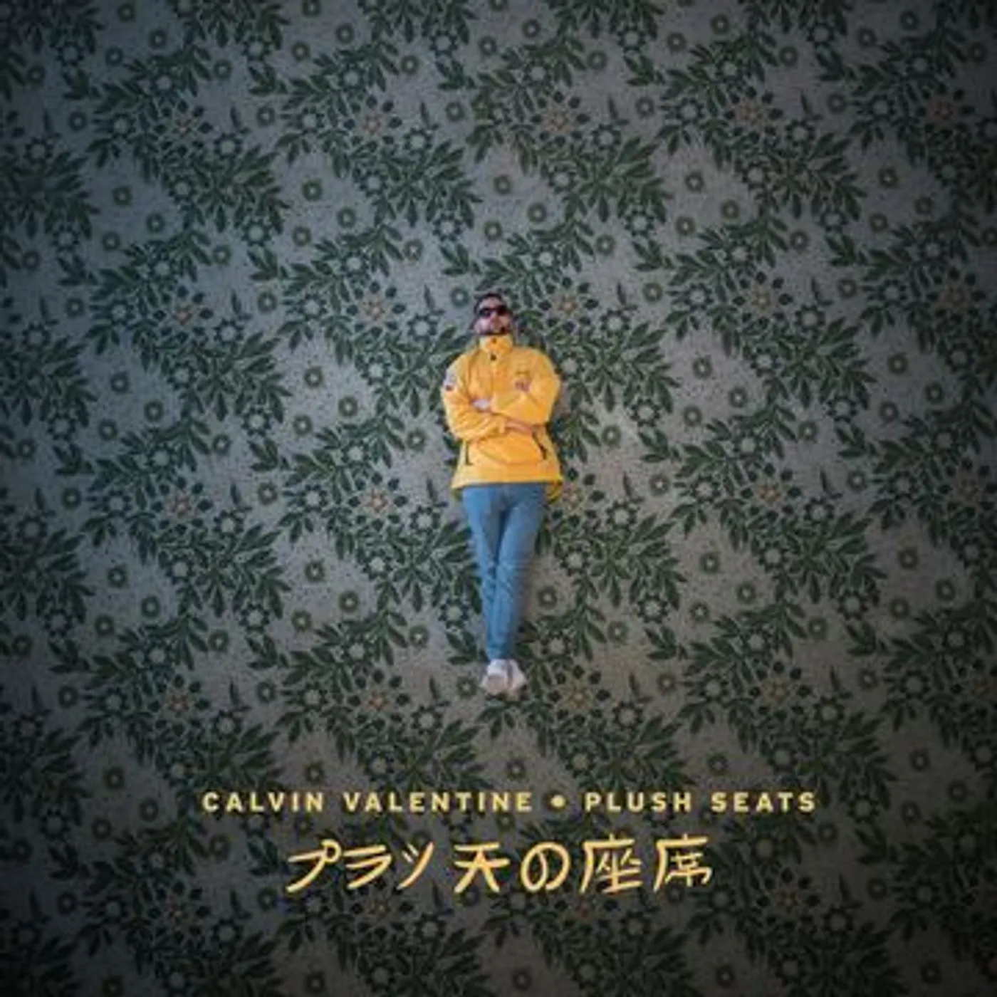 Calvin Valentine Plush Seats Vinyl Record