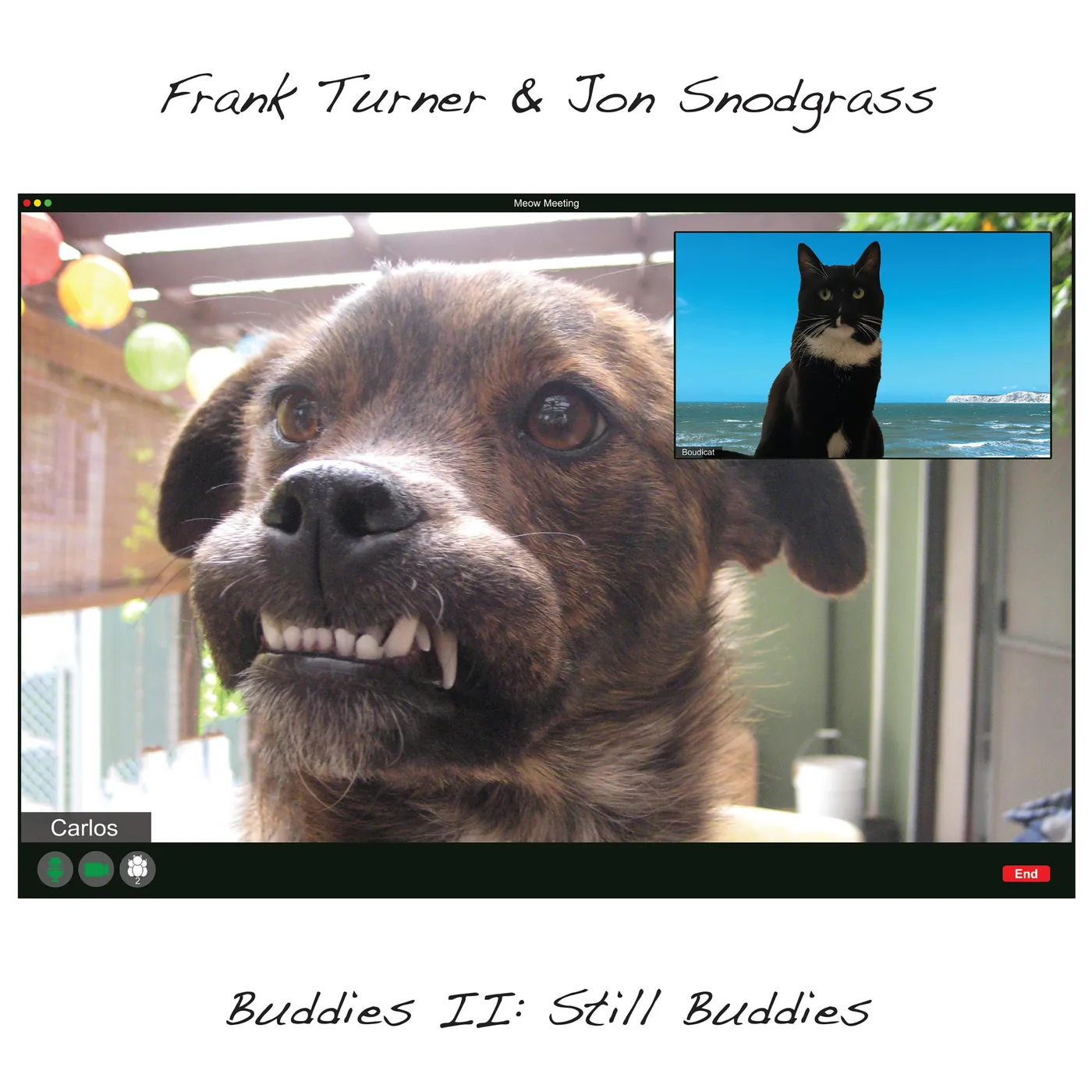 Frank Turner / Jon Snodgrass Buddies II: Still Buddies Vinyl Record