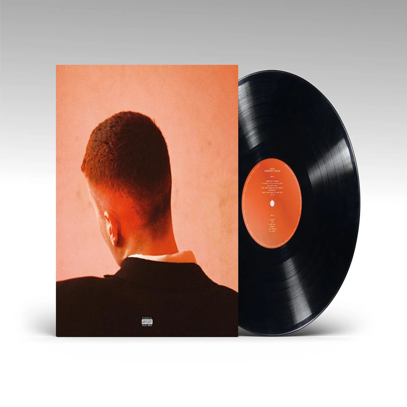 Joesef Permanent Damage Vinyl Record