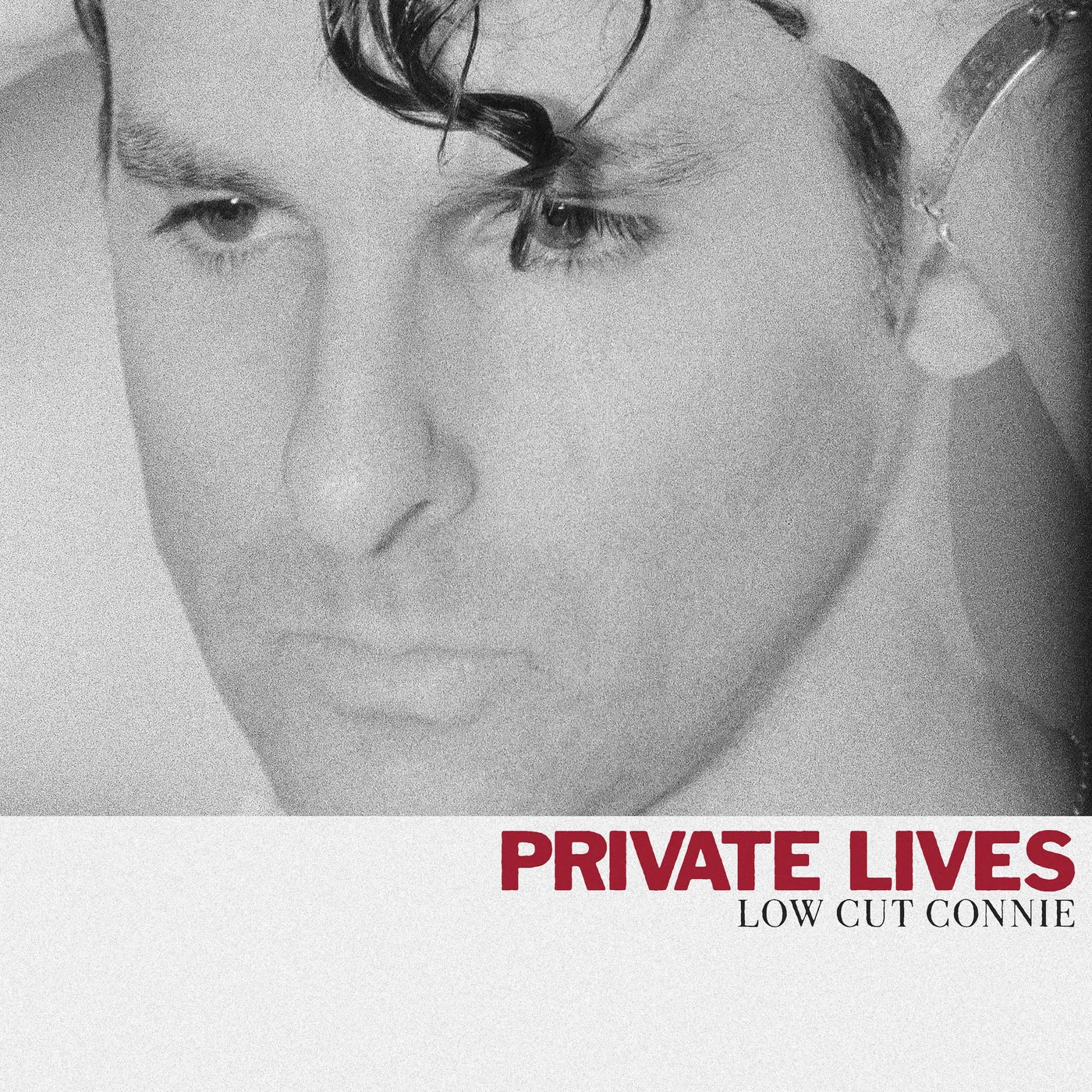 Low Cut Connie Private Lives Vinyl Record