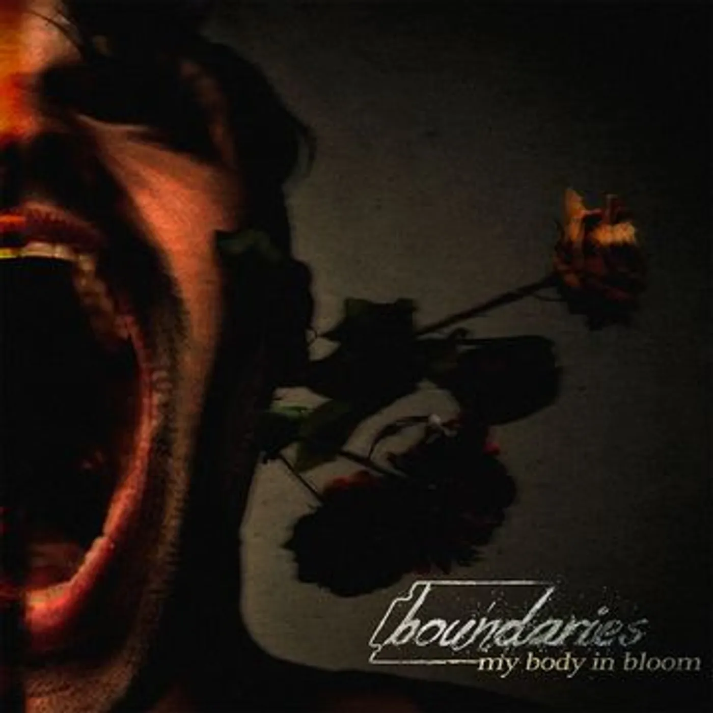 Boundaries My body in bloom Vinyl Record