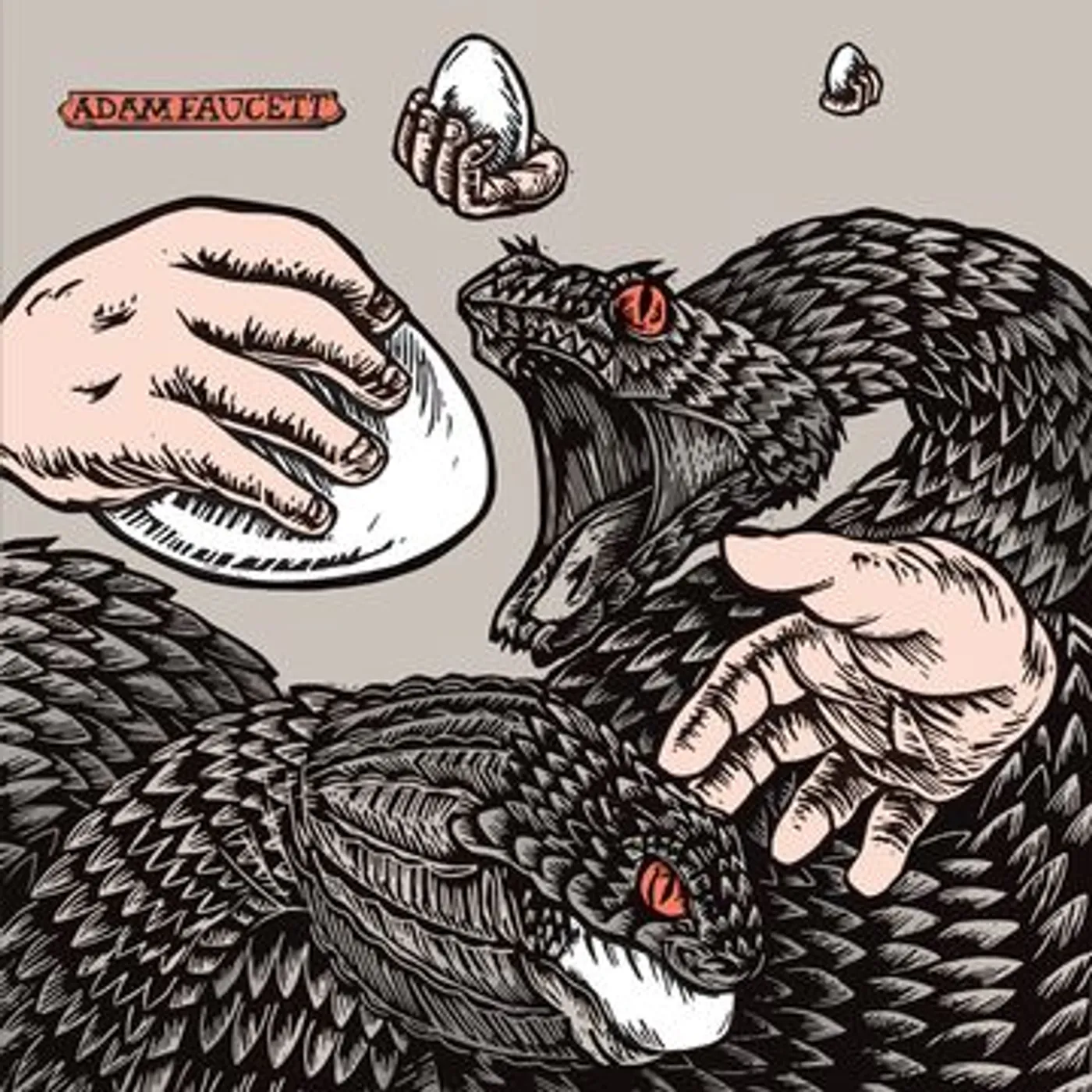 Adam Faucett It Took the Shape of a Bird Vinyl Record