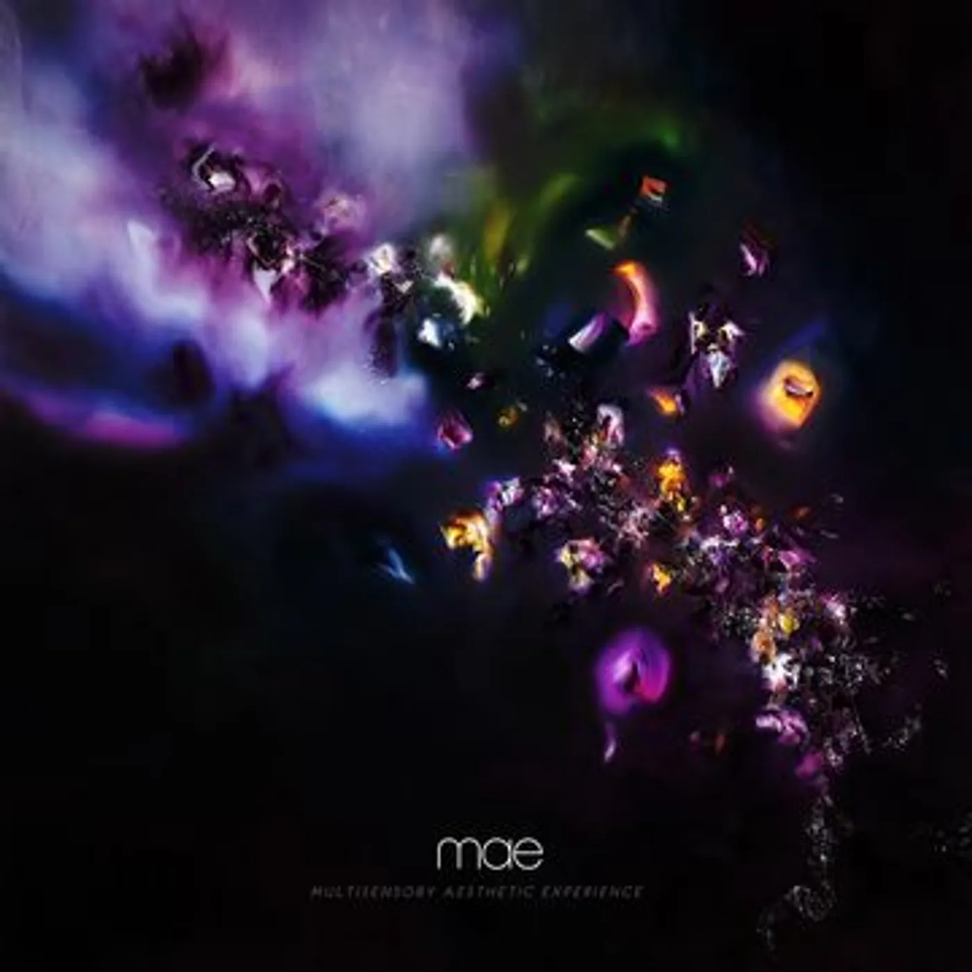 Mae Multisensory Aesthetic Experience Vinyl Record