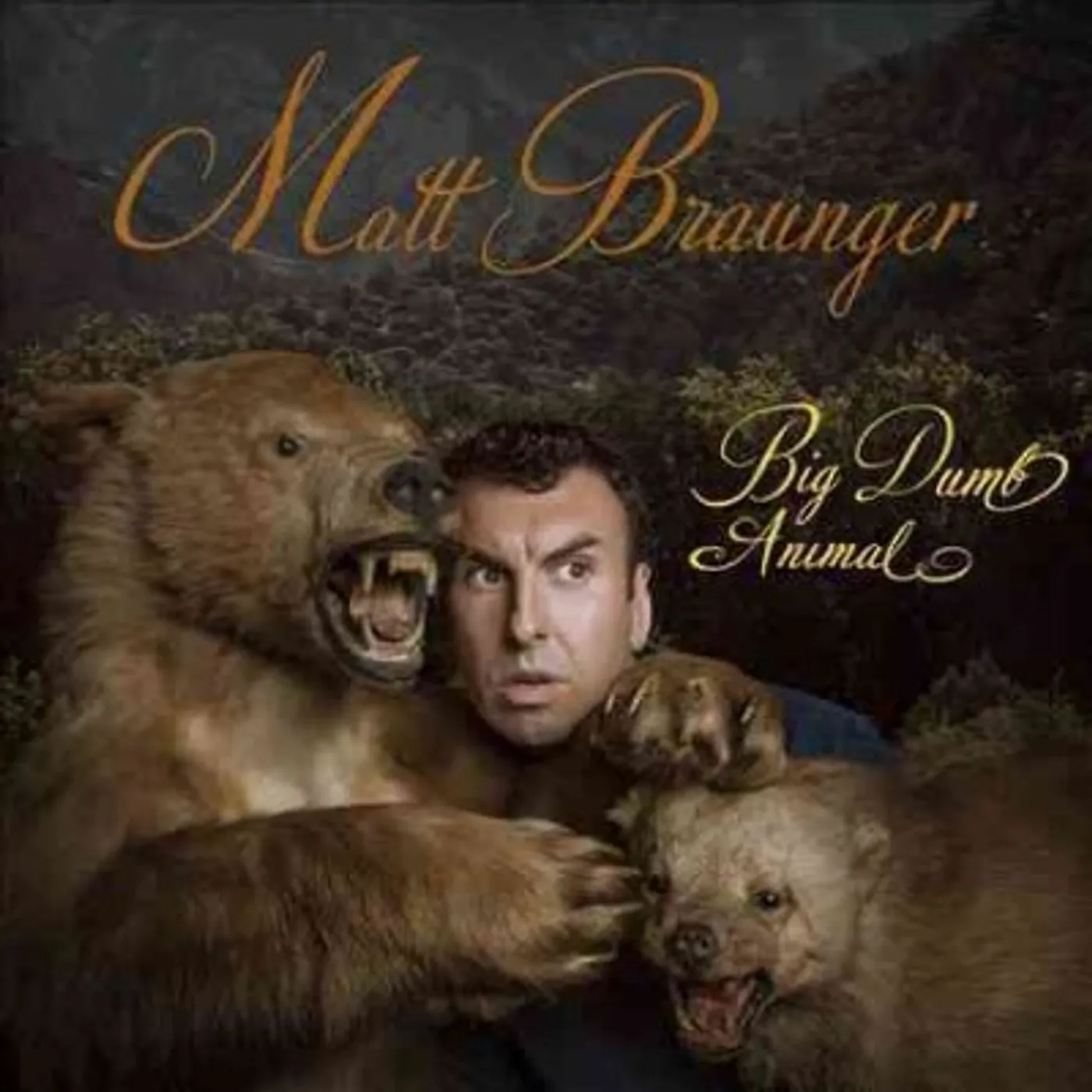 Matt Braunger Big Dumb Animal Vinyl Record