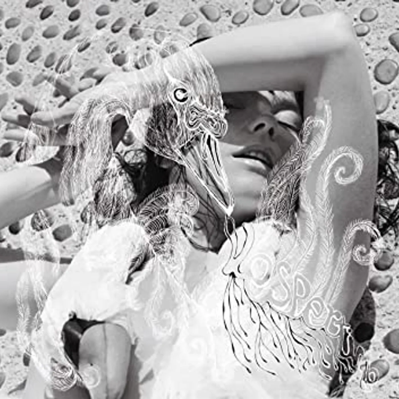 Björk Vespertine Vinyl Record