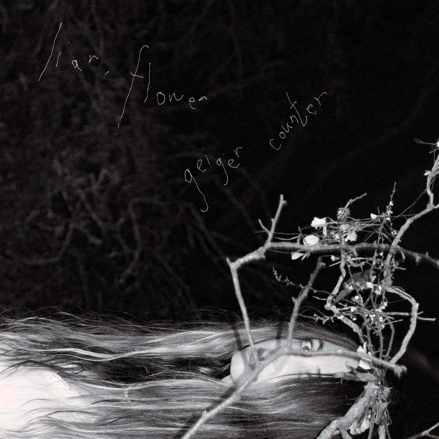 Liar, Flower Geiger Counter Vinyl Record