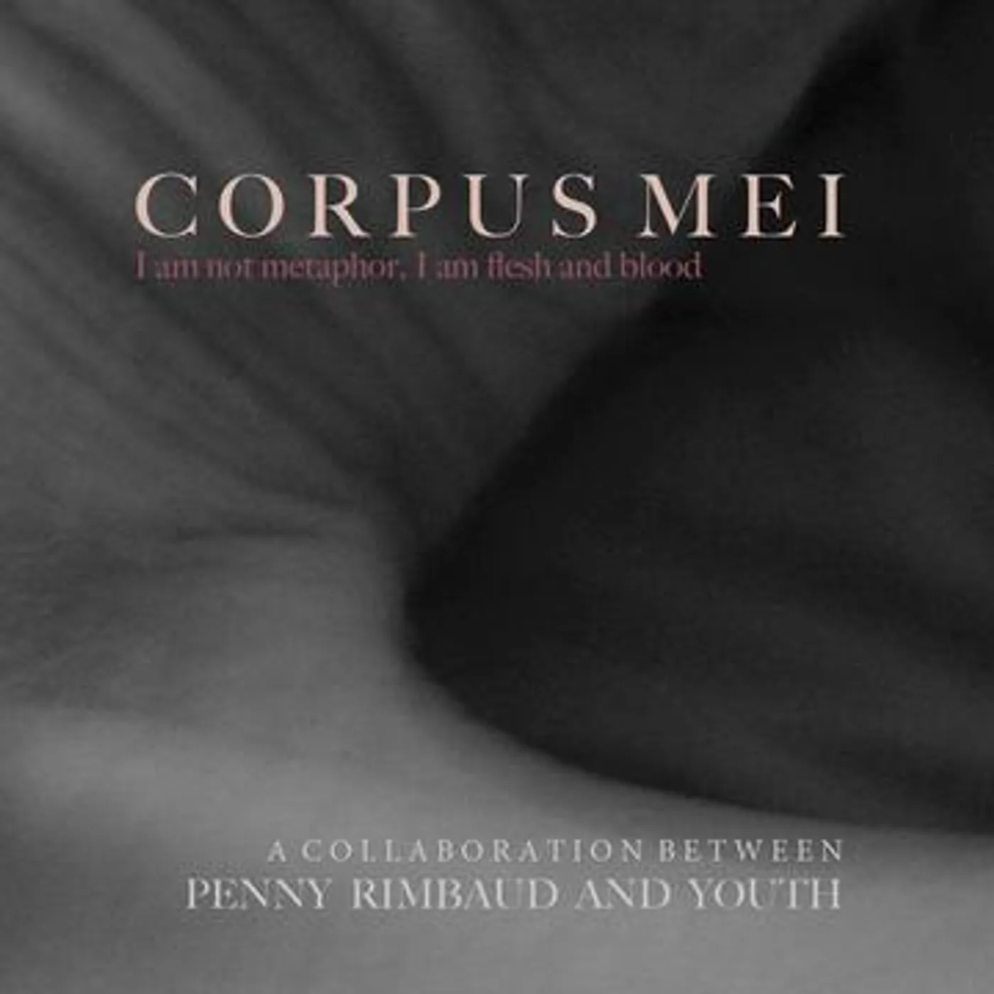 Penny Rimbaud Corpus Mei Vinyl Record