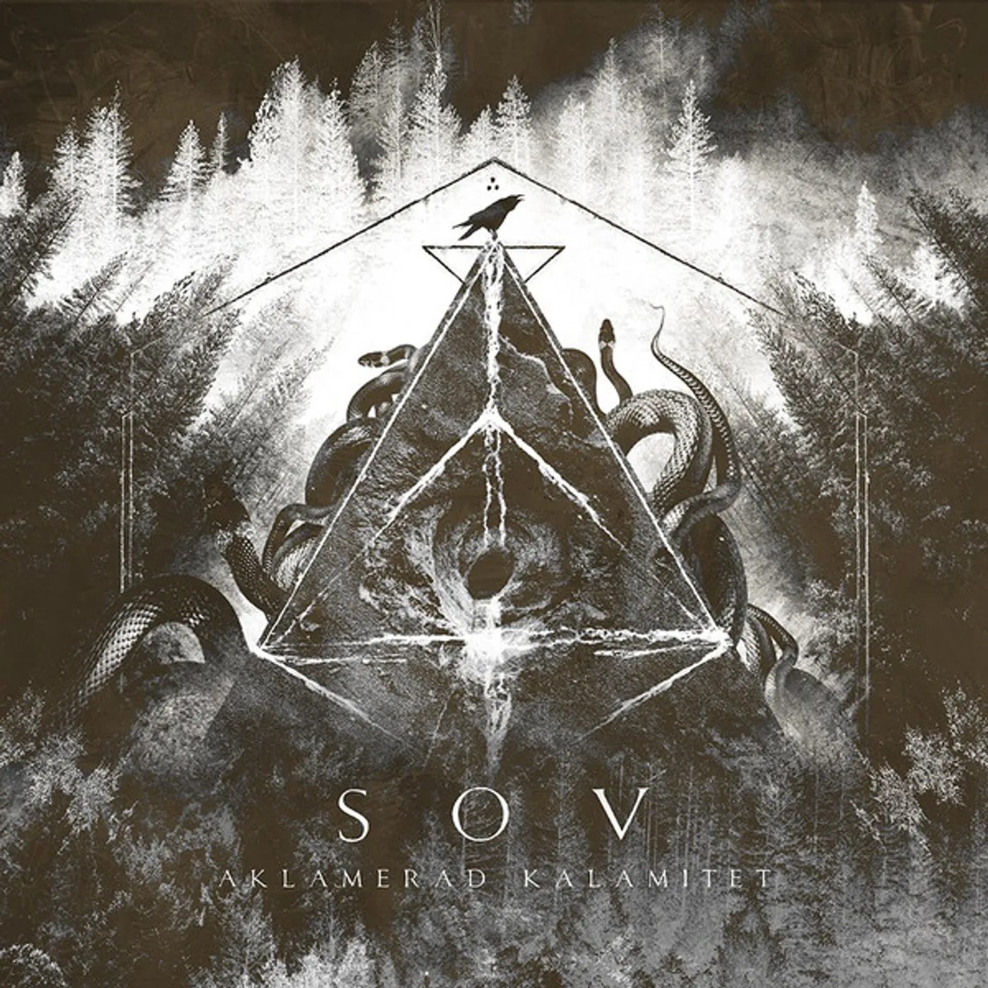 SOV Aklamerad kalamitet Vinyl Record