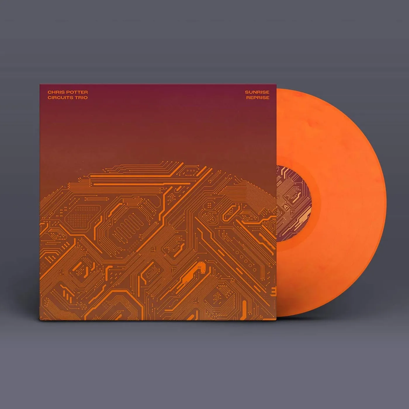 Chris Potter Sunrise Reprise Vinyl Record