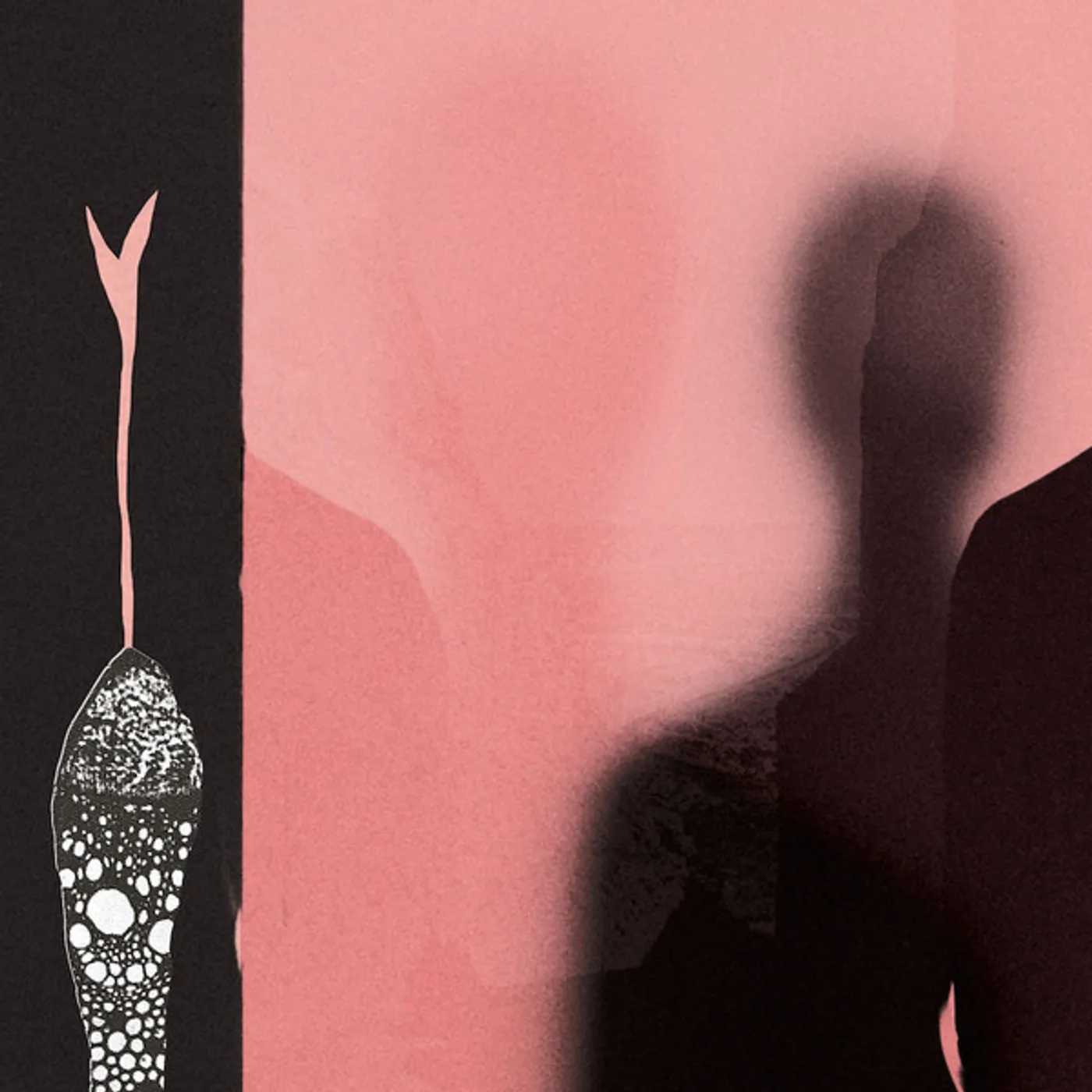 H. Hawkline In the pink of condition Vinyl Record