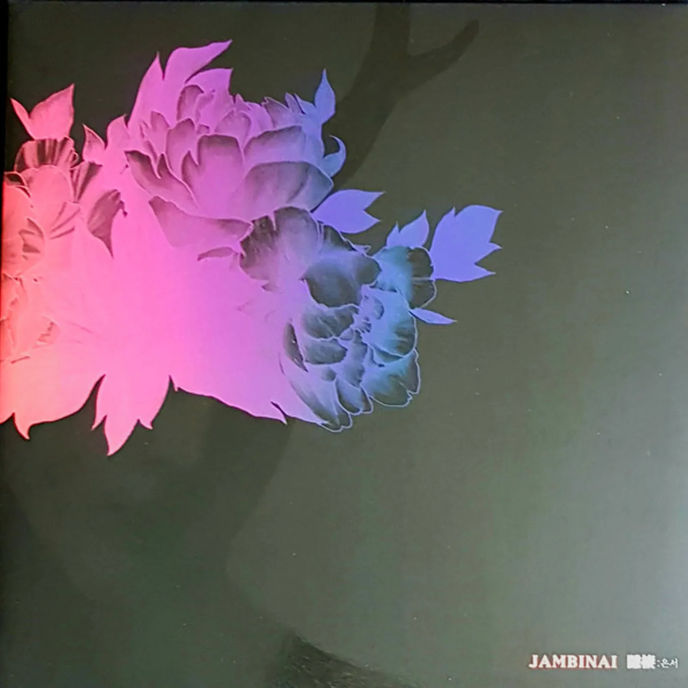 JAMBINAI A hermitage Vinyl Record