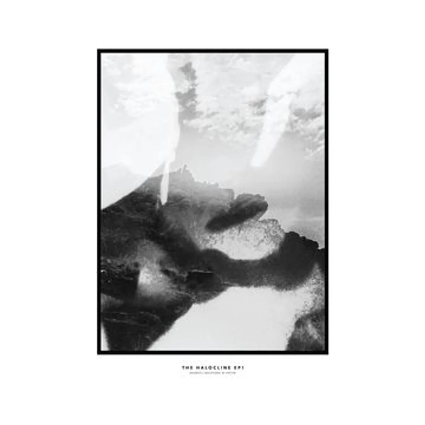 Hippo Campus Halocline EPs Vinyl Record