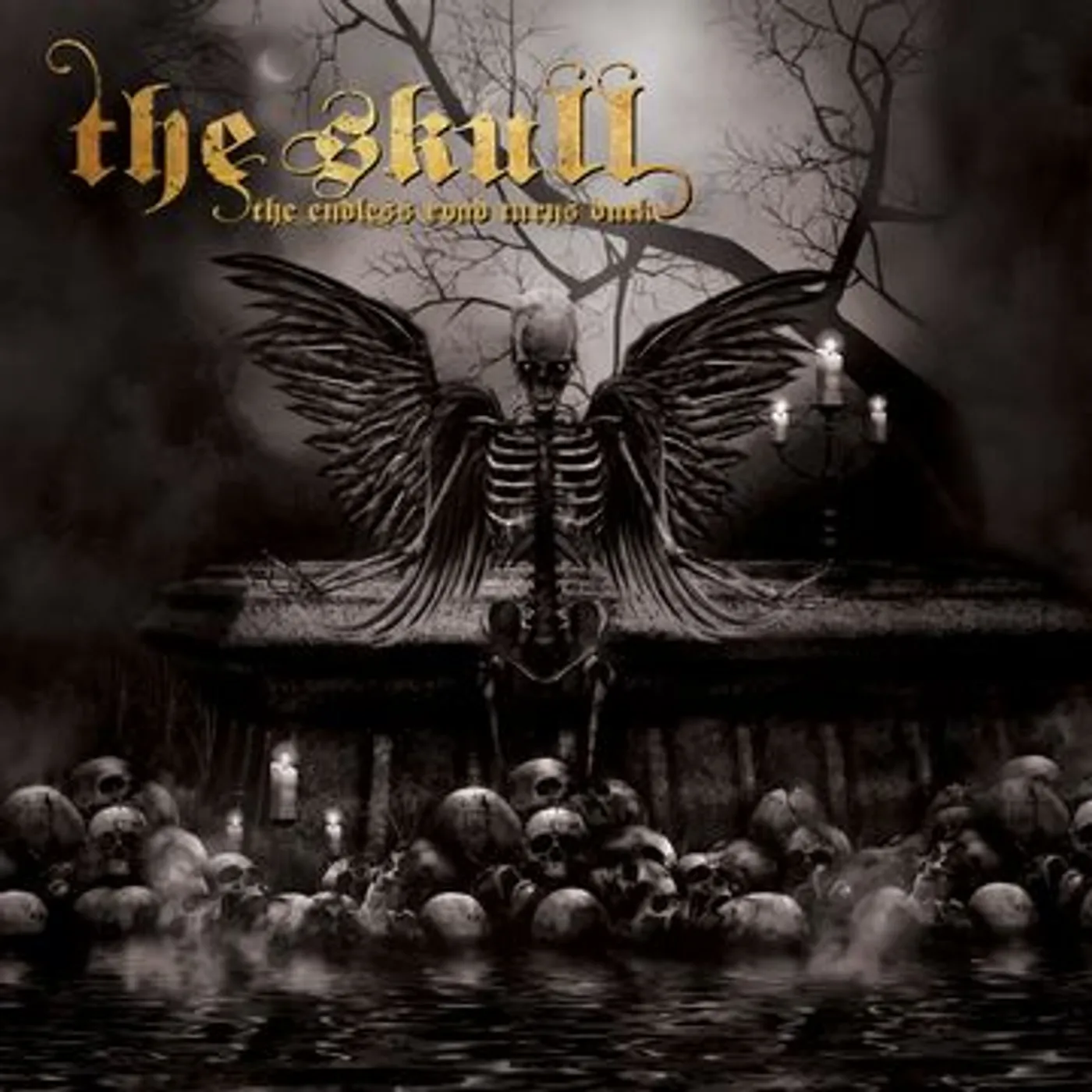 The Skull ENDLESS ROAD TURNS DARK Vinyl Record